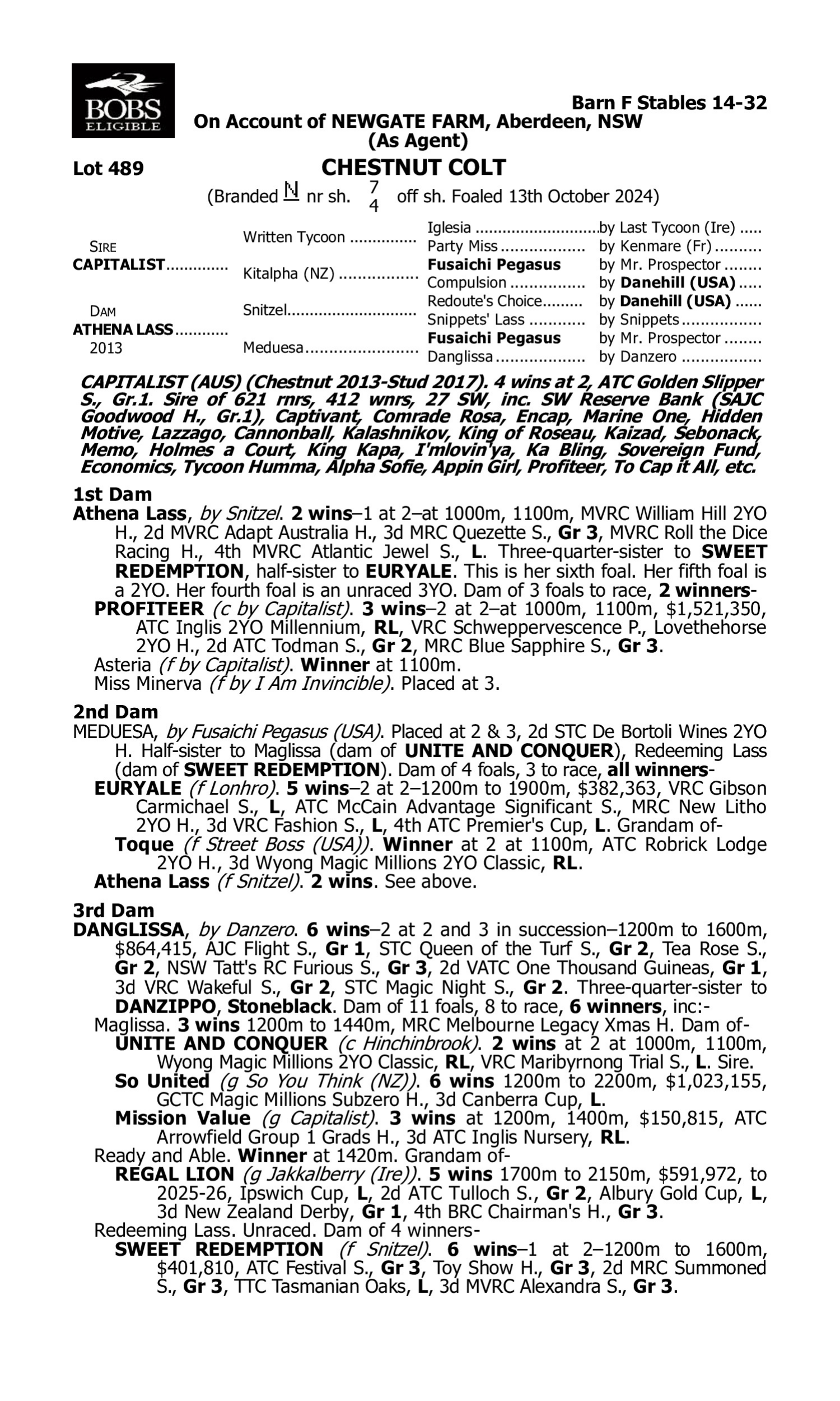 Pedigree for Lot 489 Capitalist - Athena Lass
