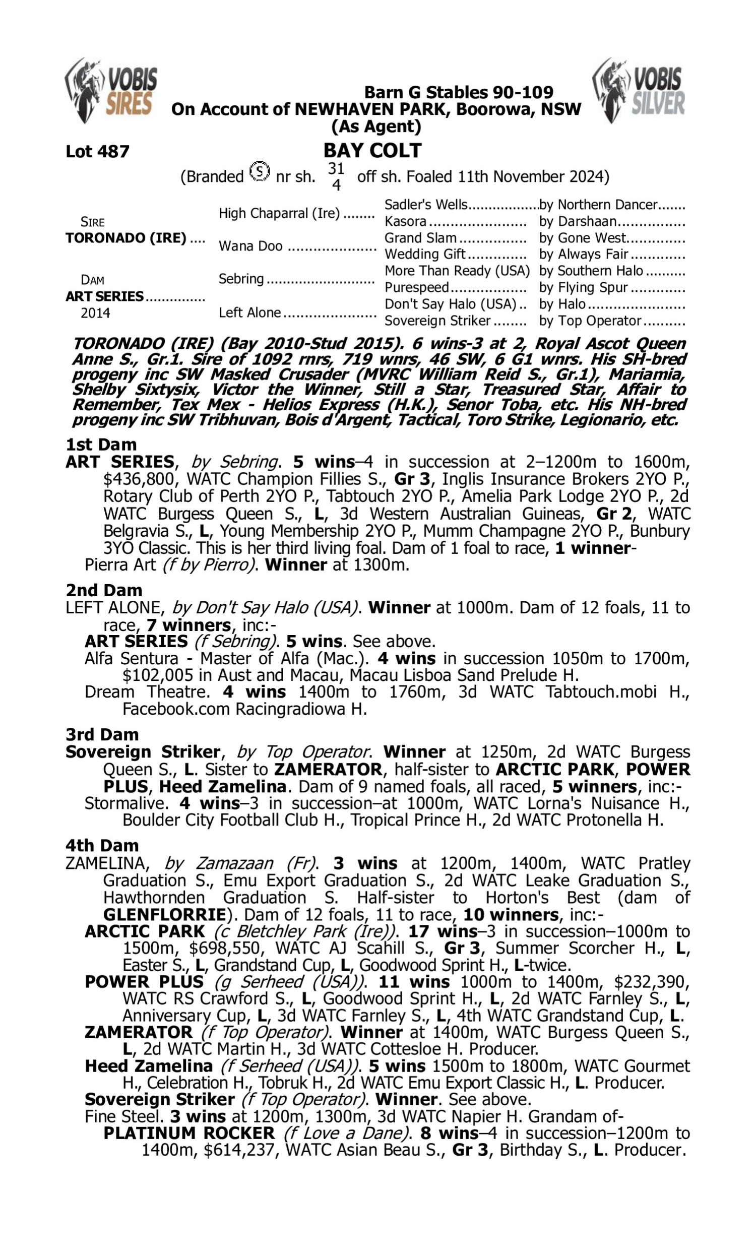 Pedigree for Lot 487 Toronado (IRE) - Art Series