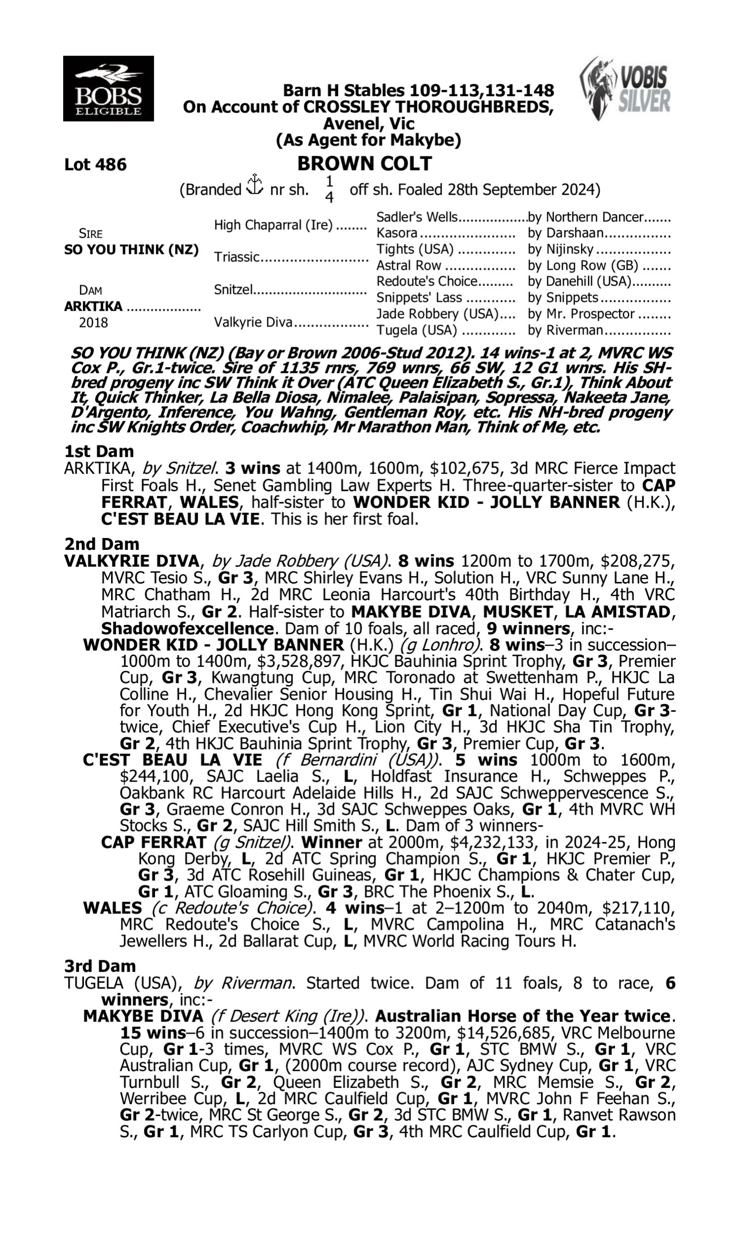 Pedigree for Lot 486 So You Think (NZ) - Arktika