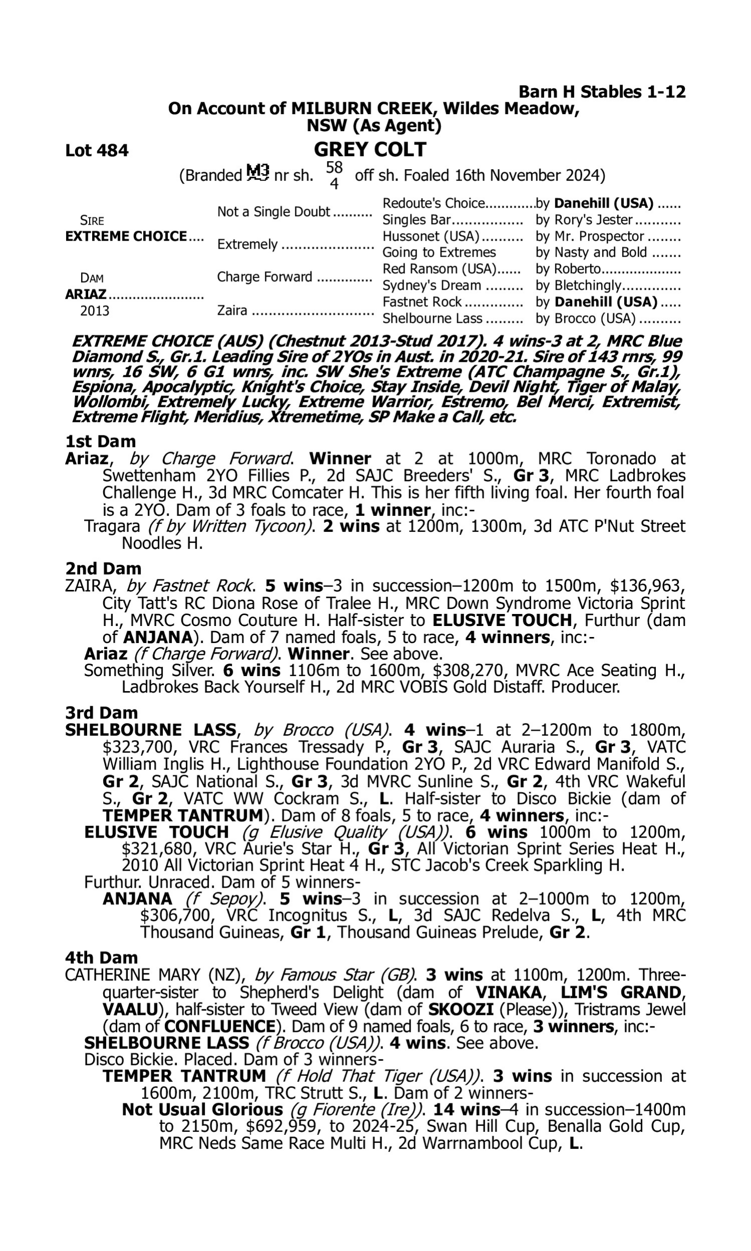 Pedigree for Lot 484 Extreme Choice - Ariaz