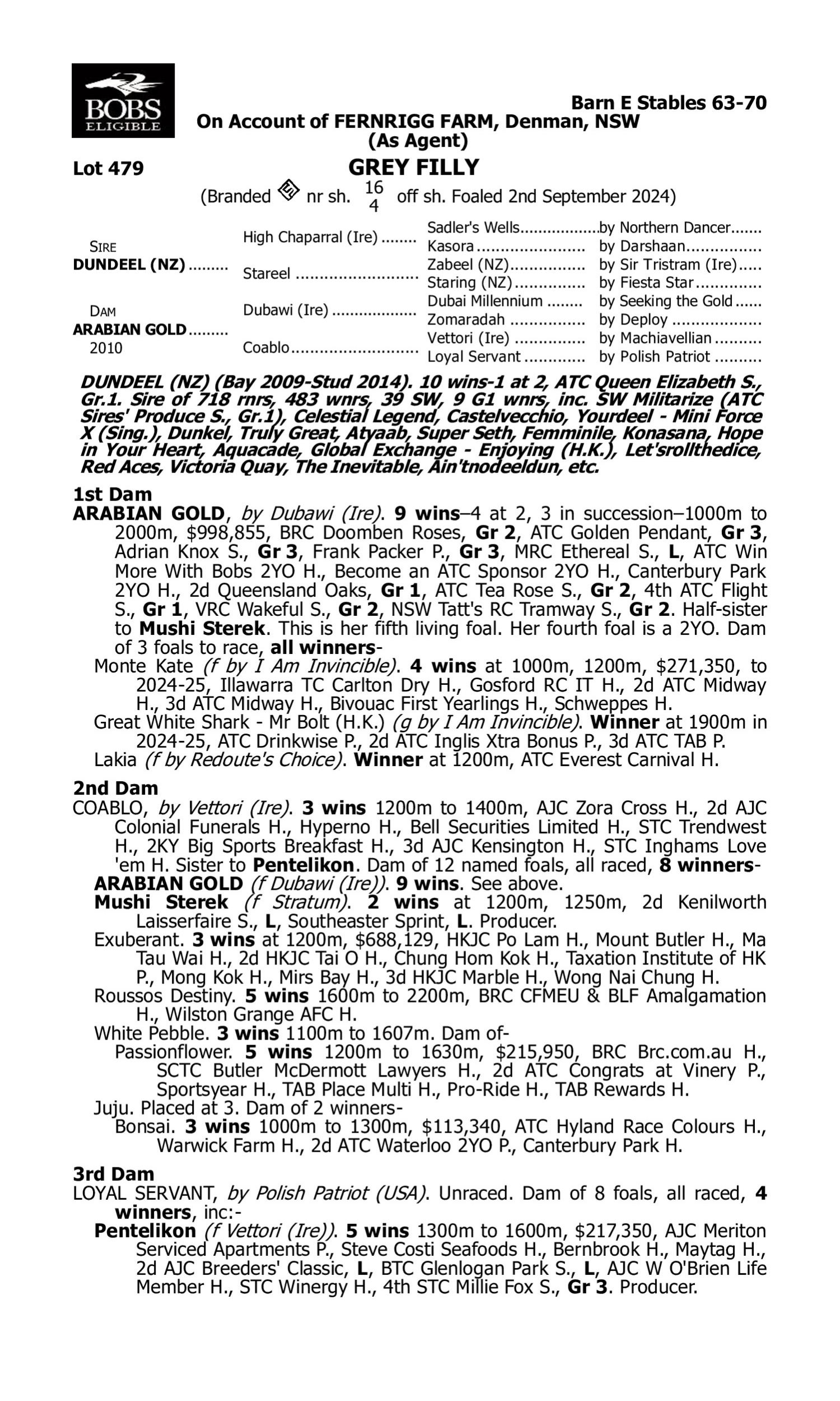 Pedigree for Lot 479 Dundeel (NZ) - Arabian Gold