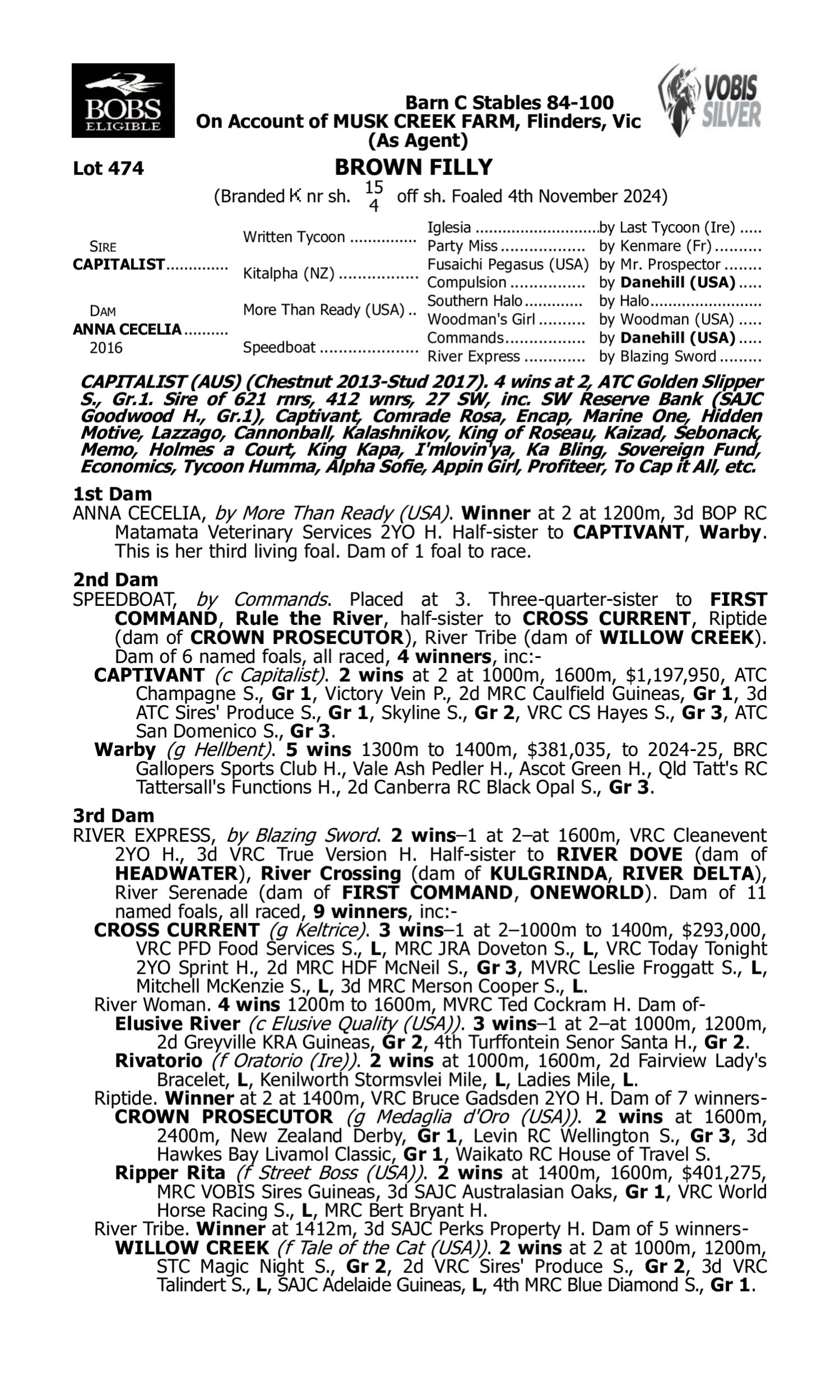 Pedigree for Lot 474 Capitalist - Anna Cecelia
