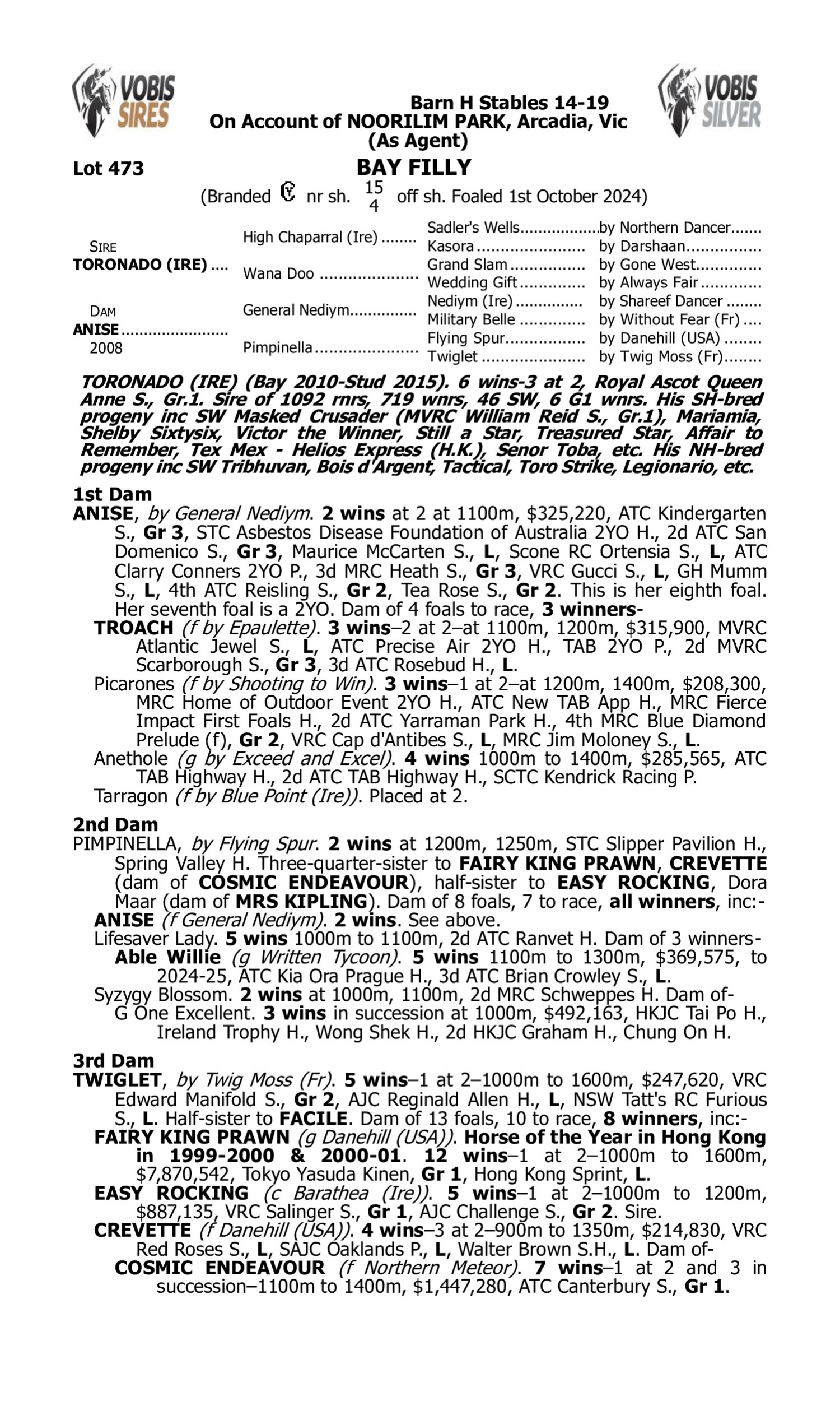 Pedigree for Lot 473 Toronado (IRE) - Anise