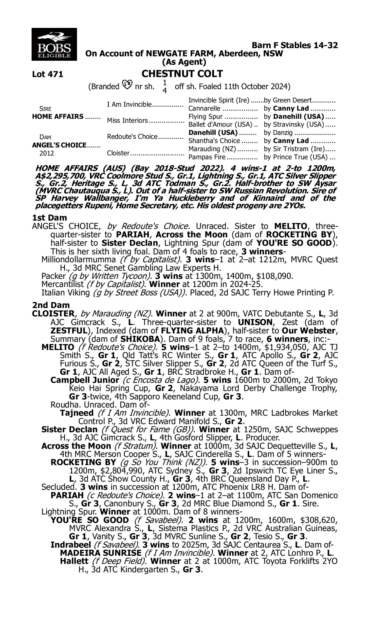Pedigree for Lot 471 Home Affairs - Angel's Choice
