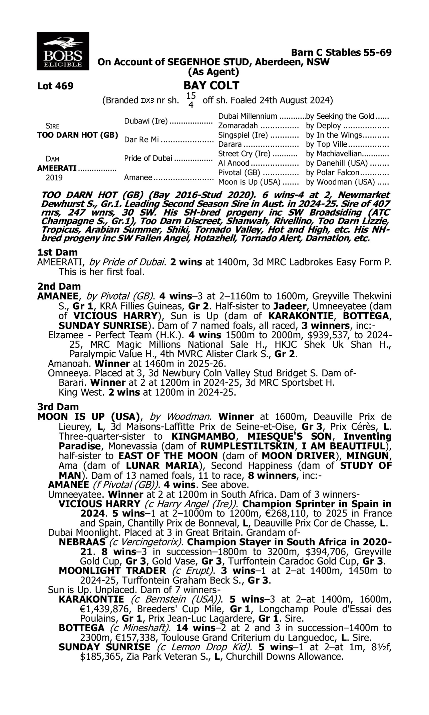 Pedigree for Lot 469 Too Darn Hot (GB) - Ameerati