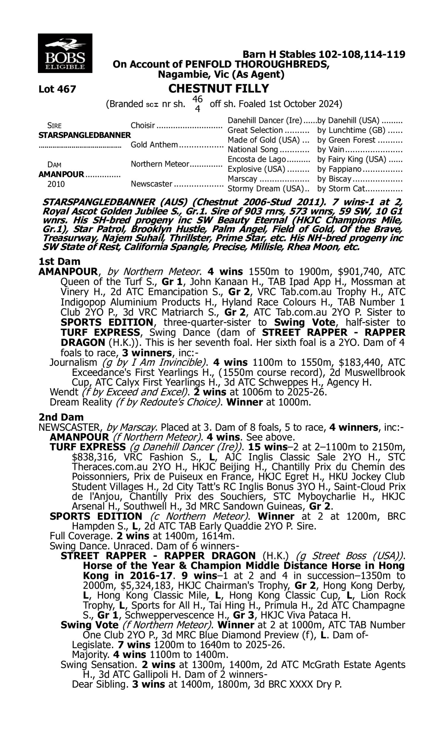 Pedigree for Lot 467 Starspangledbanner - Amanpour
