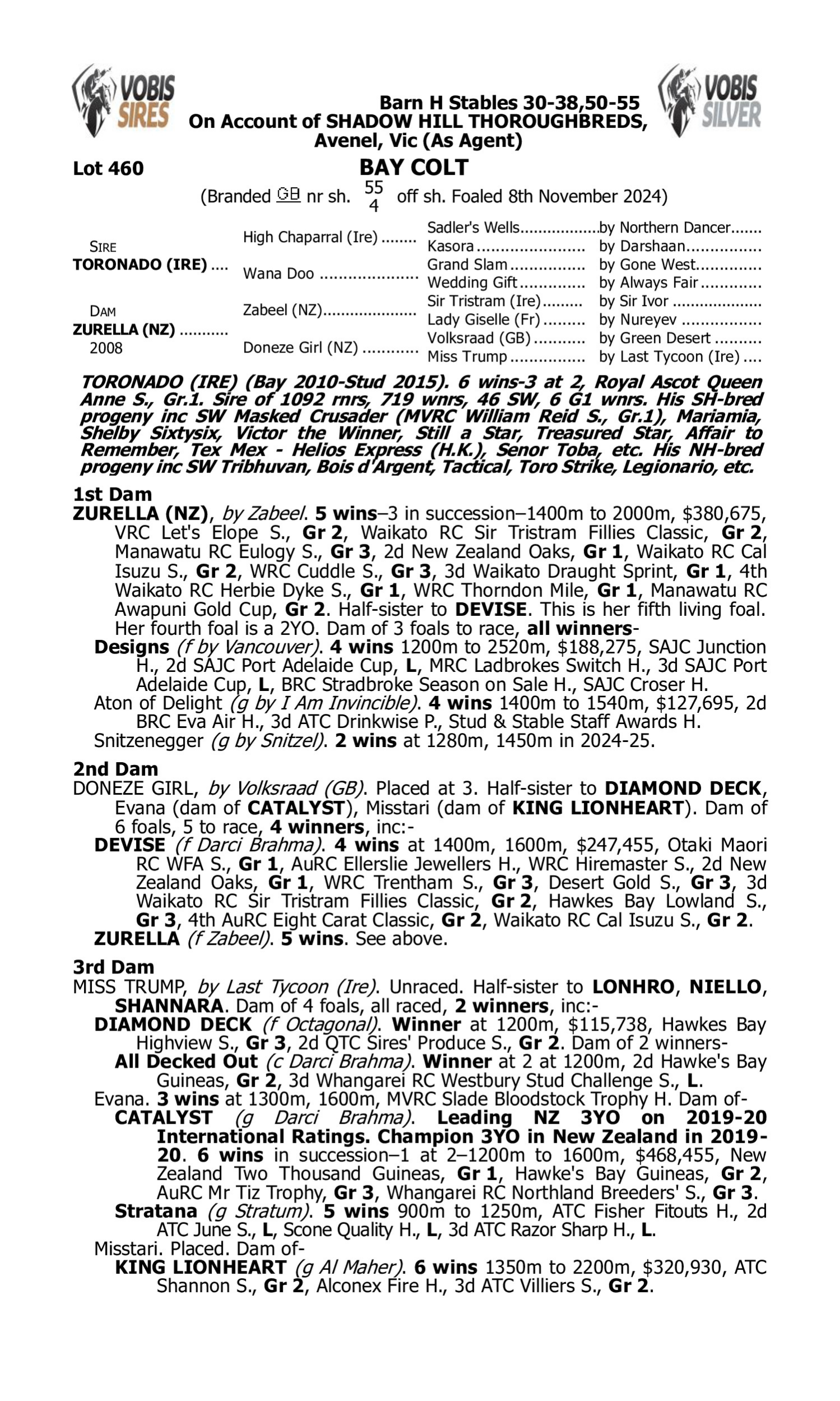 Pedigree for Lot 460 Toronado (IRE) - Zurella (NZ)