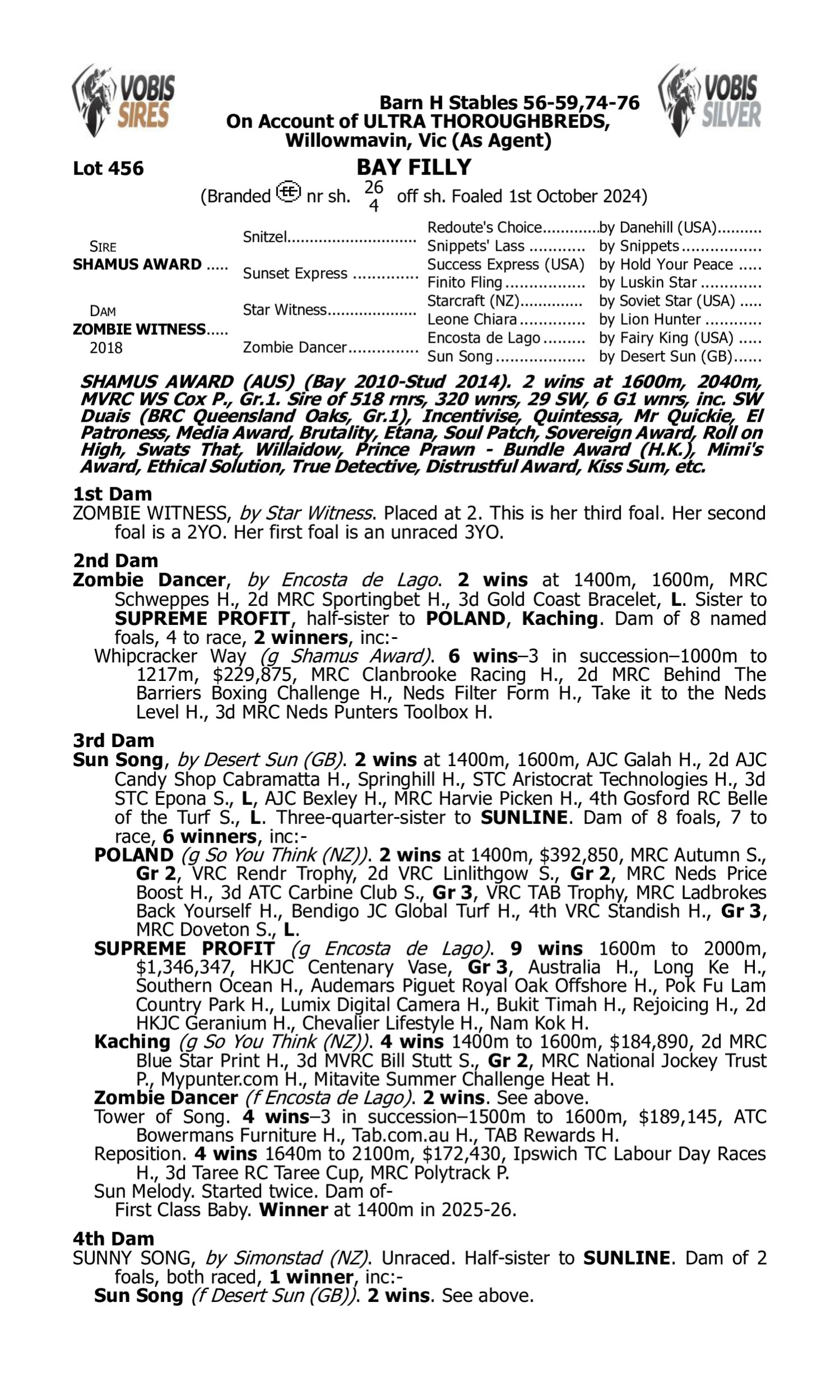 Pedigree for Lot 456 Shamus Award - Zombie Witness