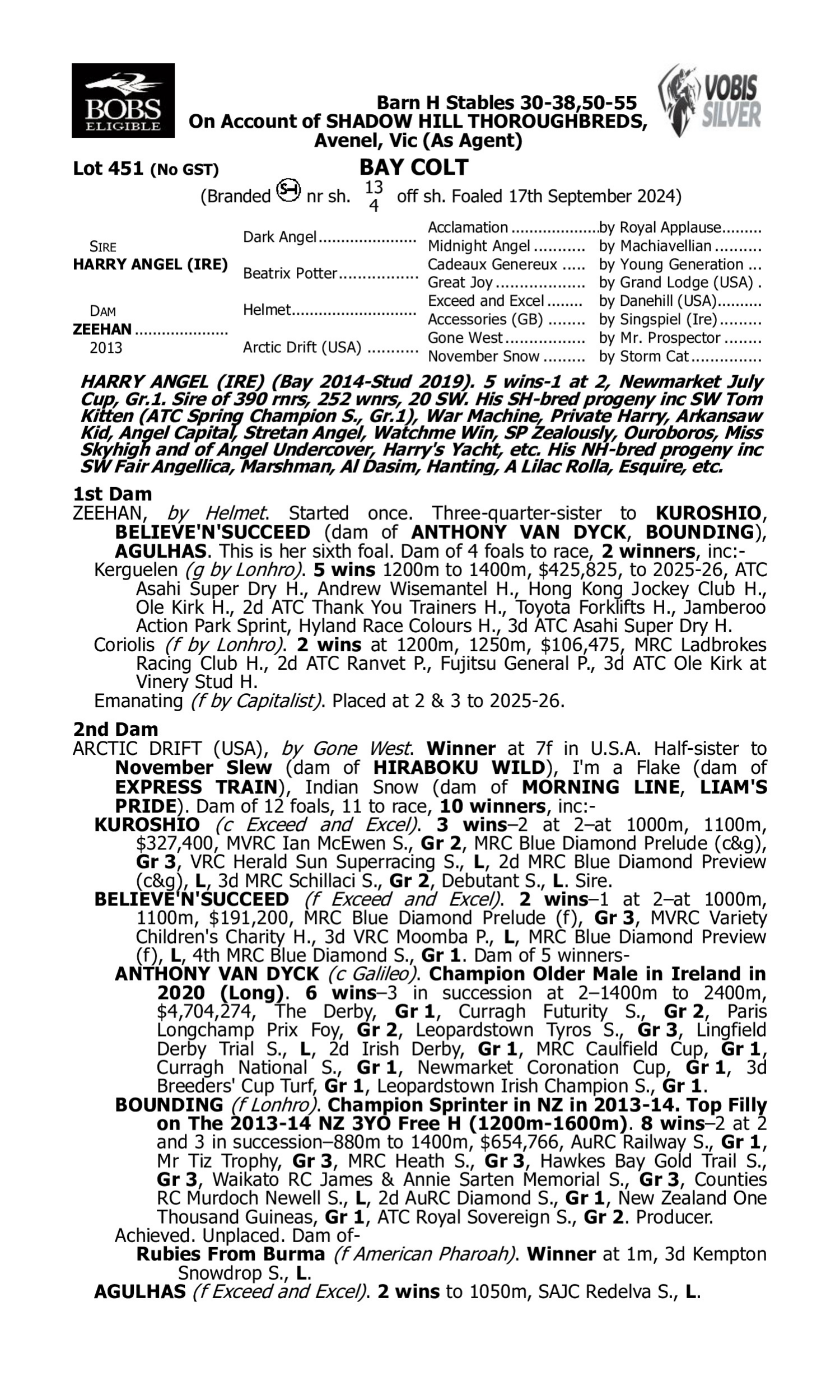 Pedigree for Lot 451 Harry Angel (IRE) - Zeehan