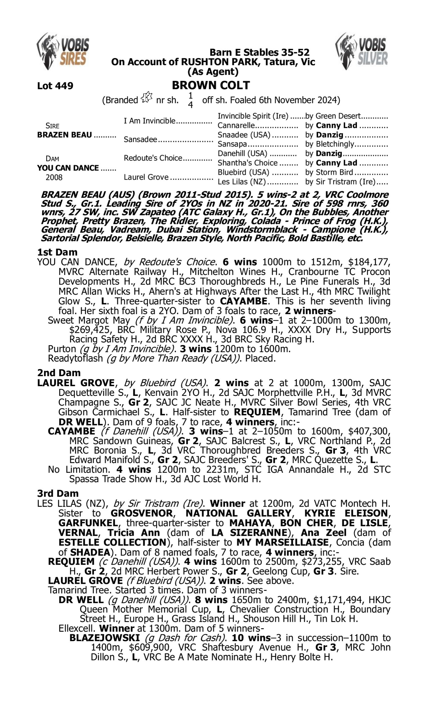 Pedigree for Lot 449 Brazen Beau - You Can Dance
