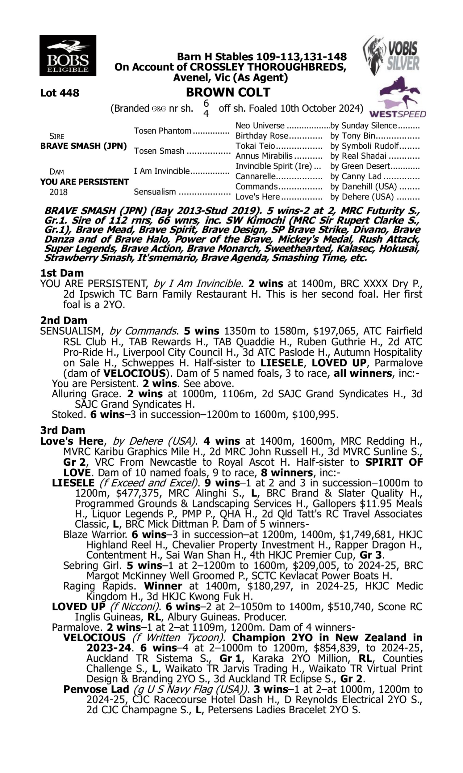 Pedigree for Lot 448 Brave Smash (JPN) - You are Persistent