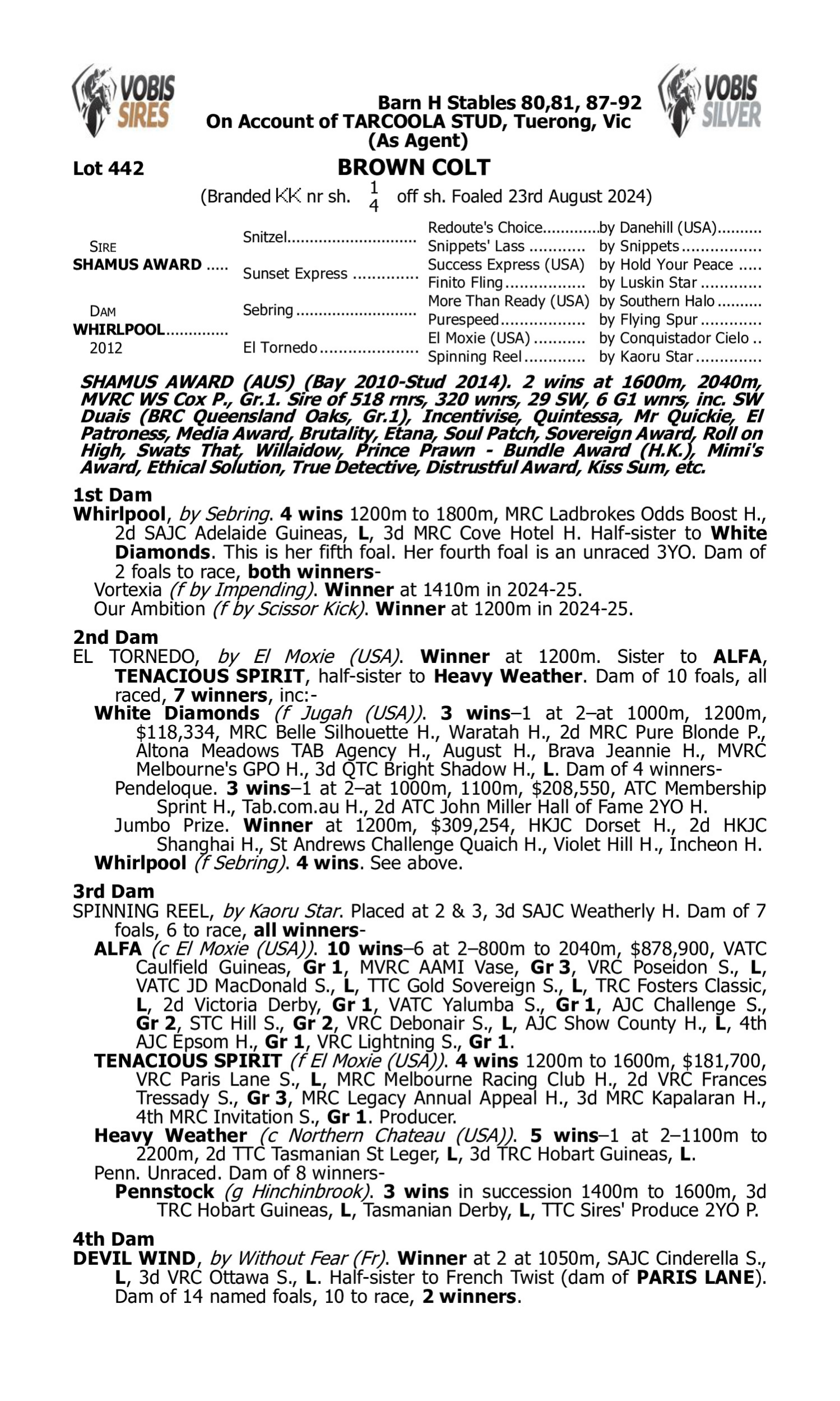 Pedigree for Lot 442 Shamus Award - Whirlpool