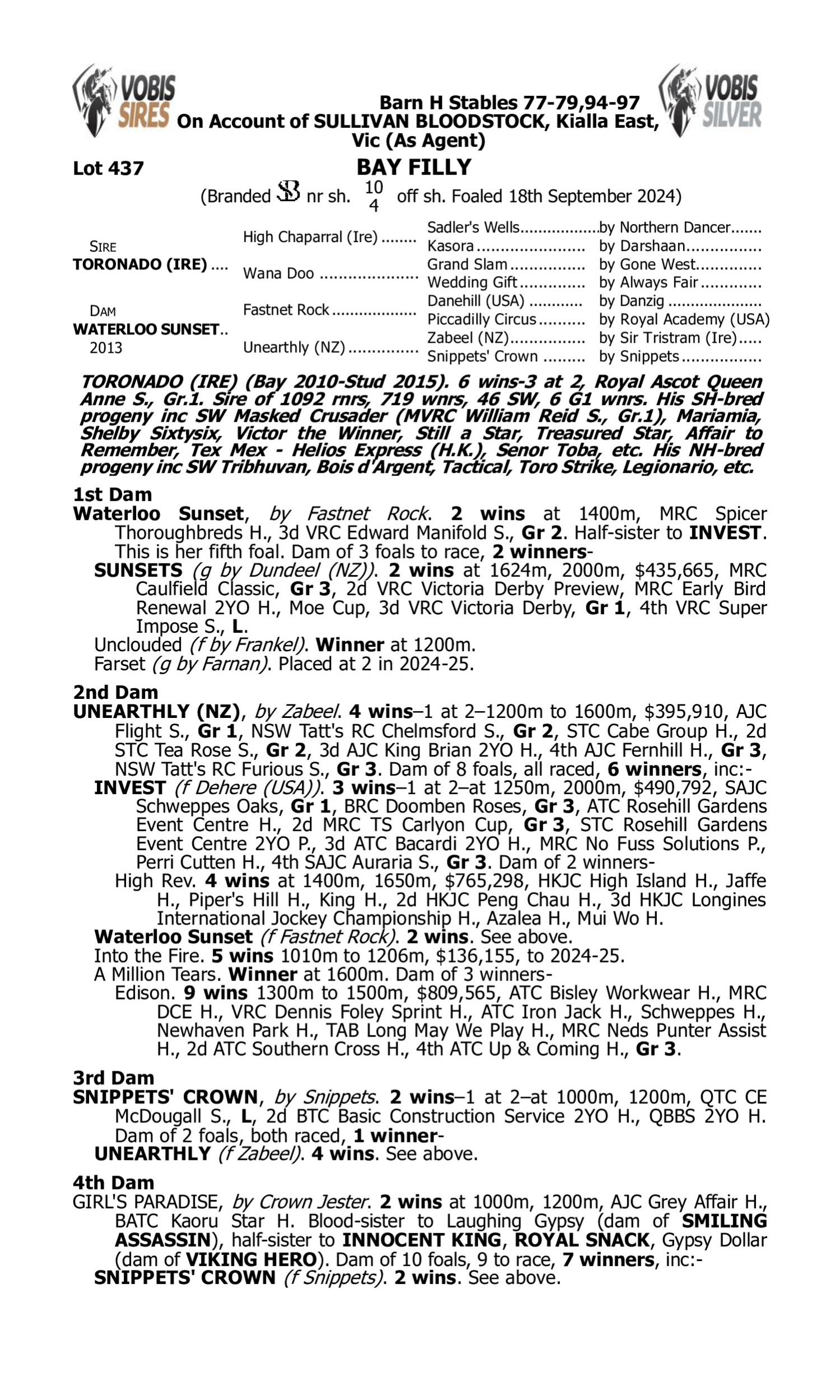 Pedigree for Lot 437 Toronado (IRE) - Waterloo Sunset