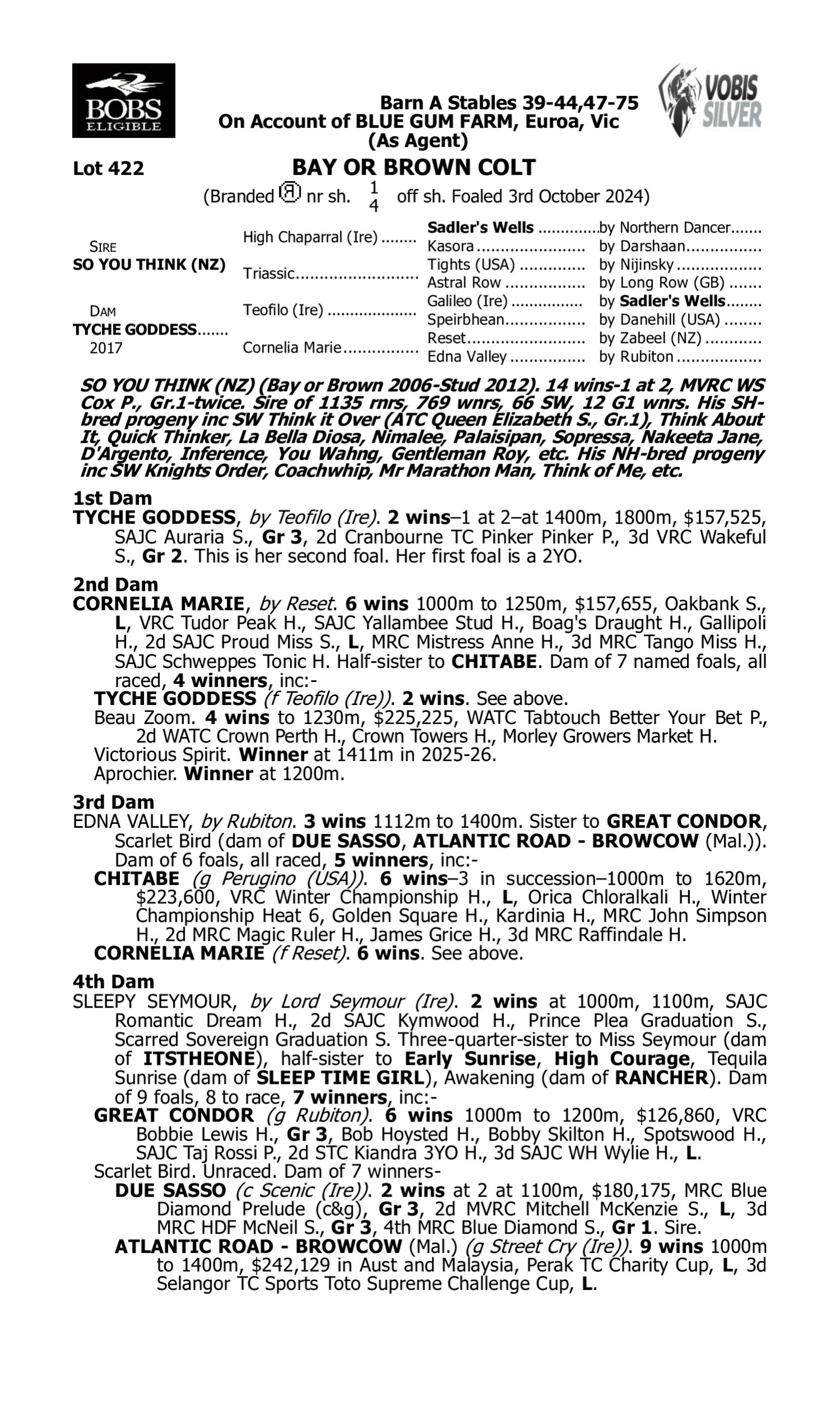 Pedigree for Lot 422 So You Think (NZ) - Tyche Goddess