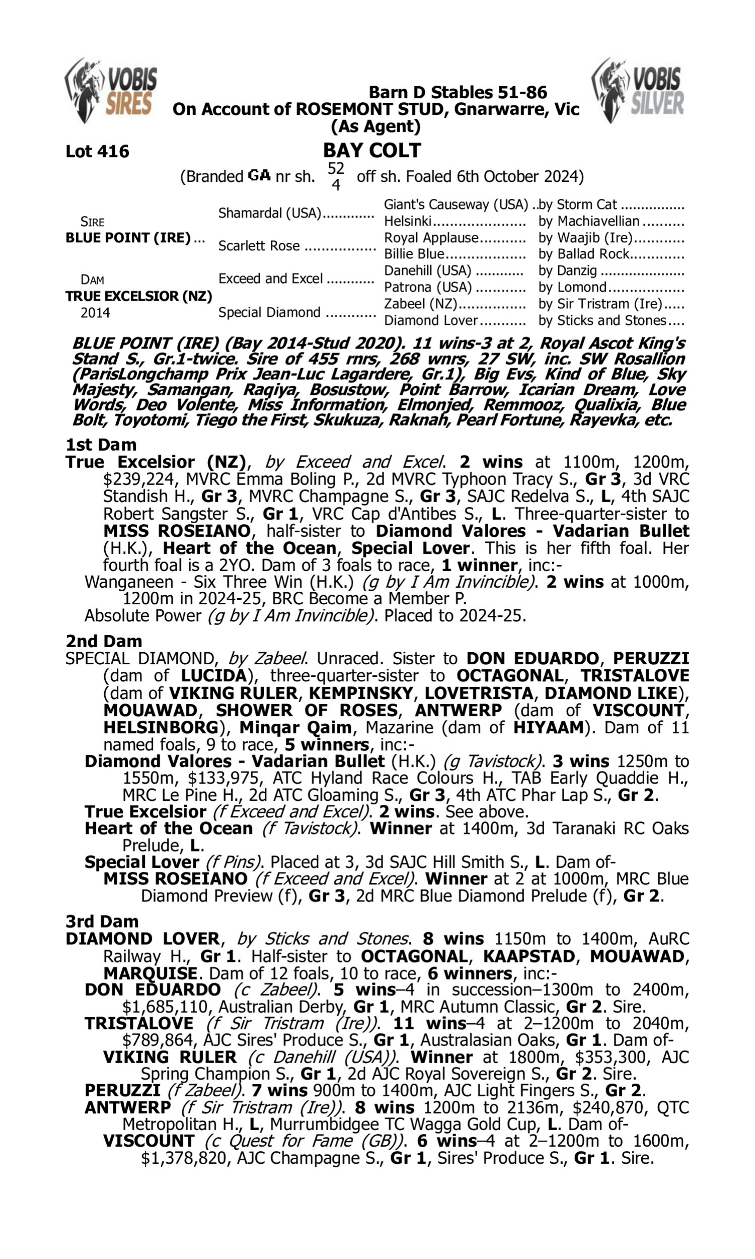 Pedigree for Lot 416 Blue Point (IRE) - True Excelsior (NZ)