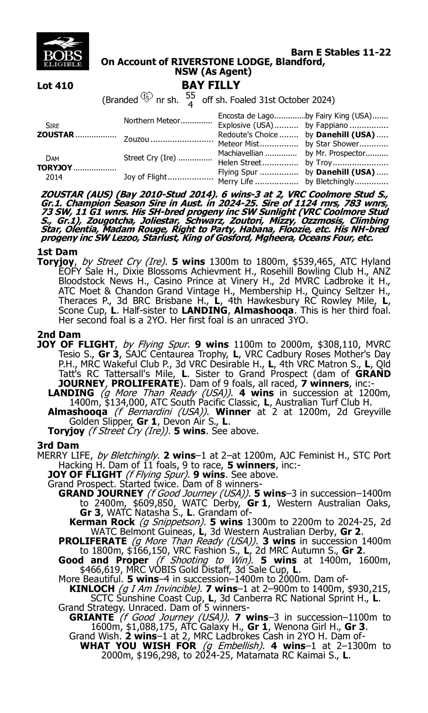 Pedigree for Lot 410 Zoustar - Toryjoy