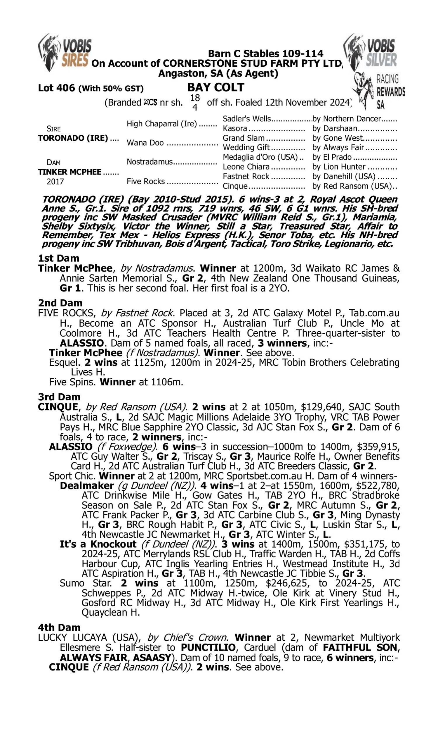 Pedigree for Lot 406 Toronado (IRE) - Tinker McPhee