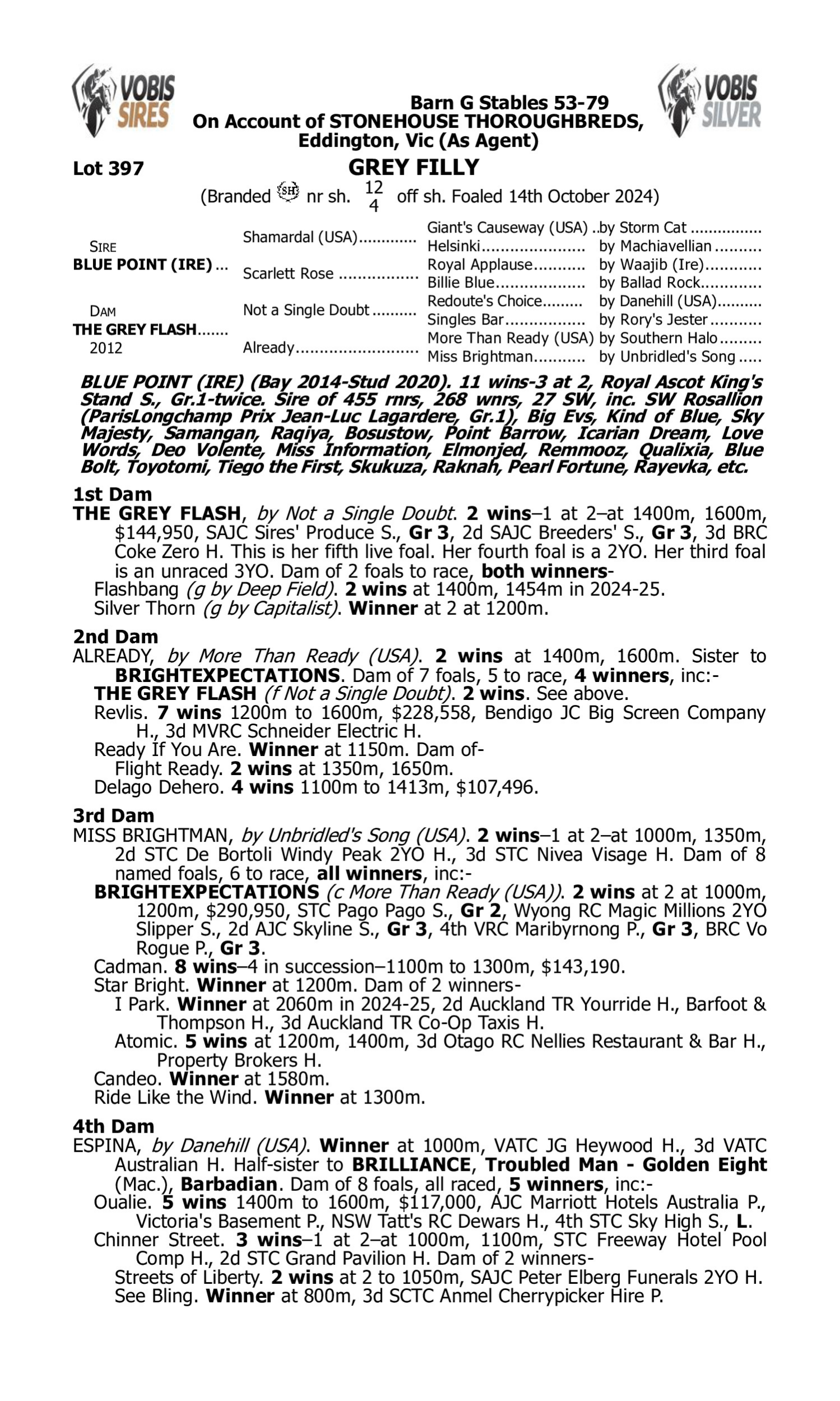 Pedigree for Lot 397 Blue Point (IRE) - The Grey Flash