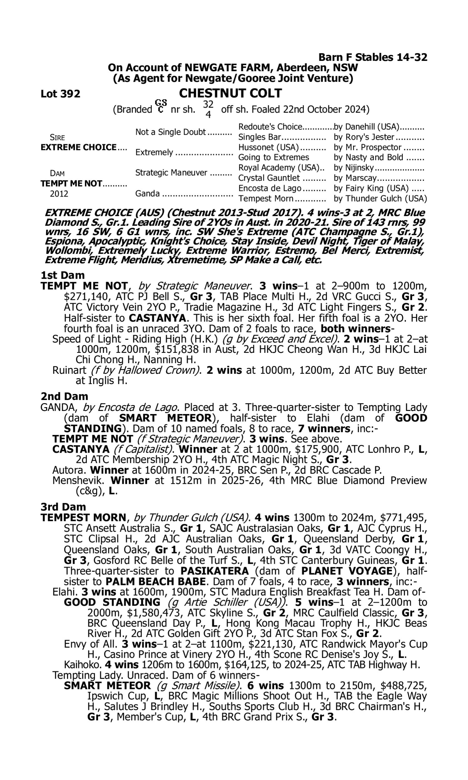 Pedigree for Lot 392 Extreme Choice - Tempt Me Not