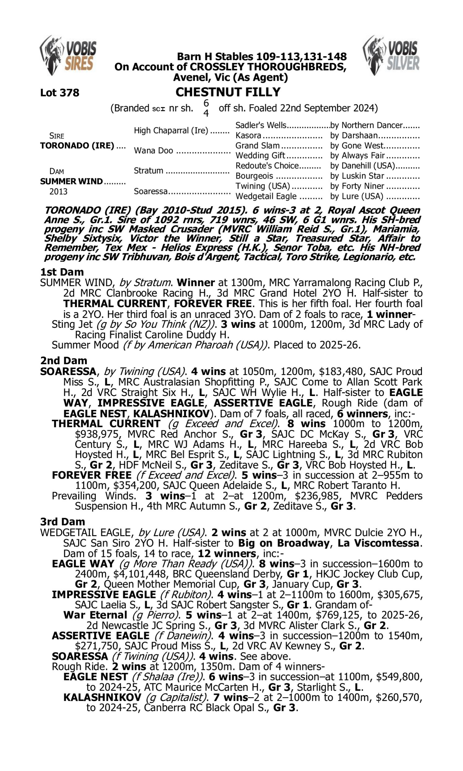 Pedigree for Lot 378 Toronado (IRE) - Summer Wind