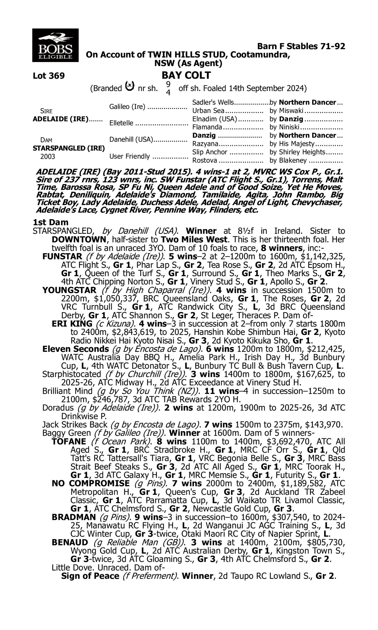 Pedigree for Lot 369 Adelaide (IRE) - Starspangled (IRE)