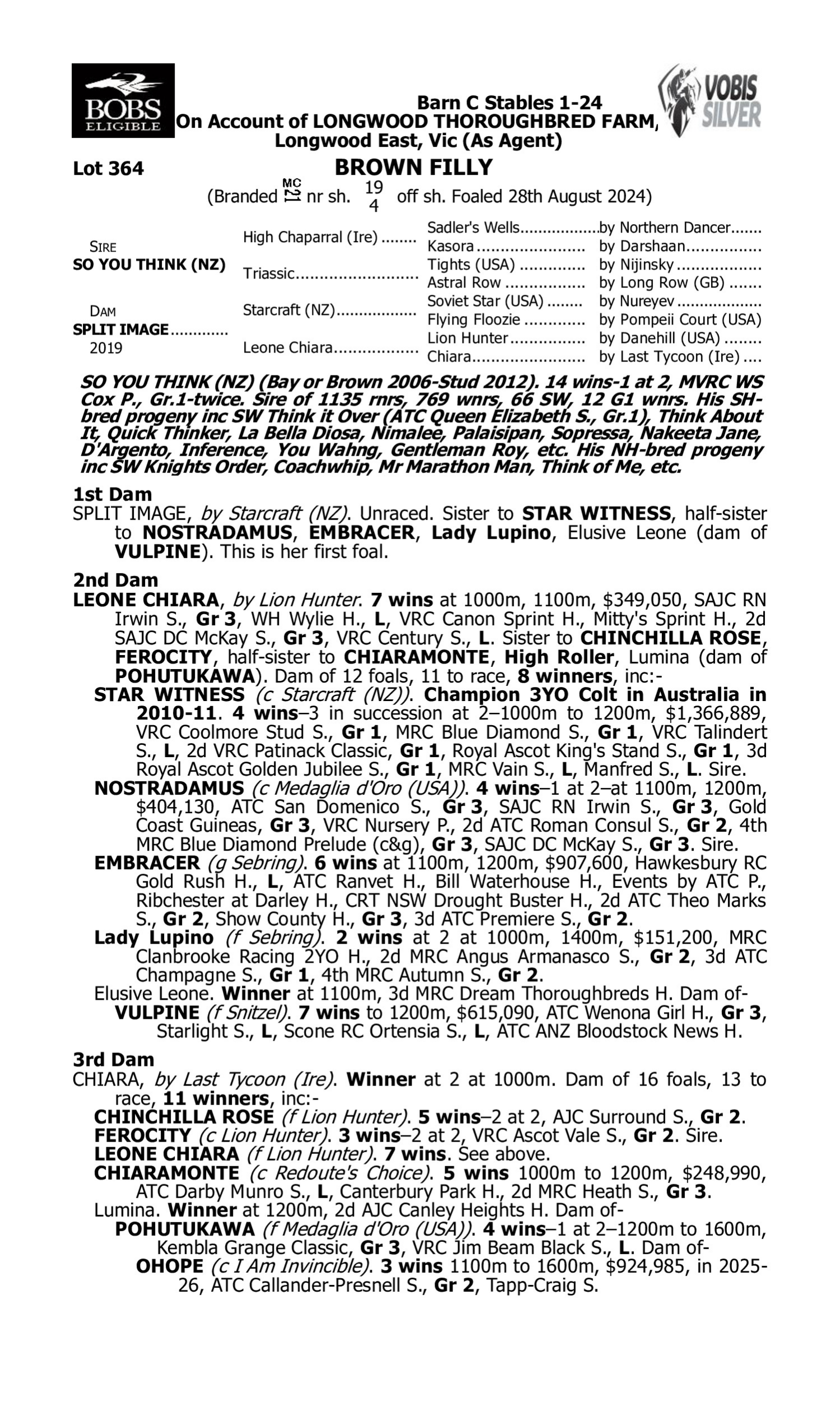 Pedigree for Lot 364 So You Think (NZ) - Split Image