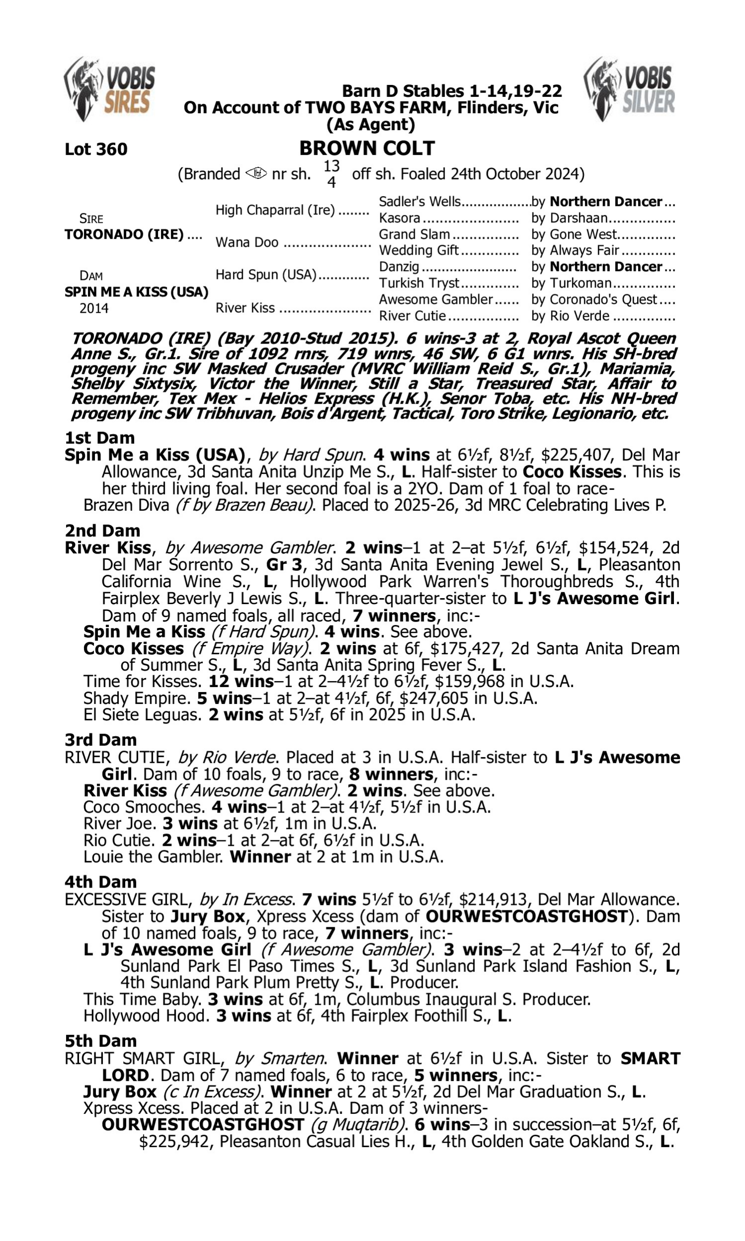 Pedigree for Lot 360 Toronado (IRE) - Spin Me a Kiss (USA)