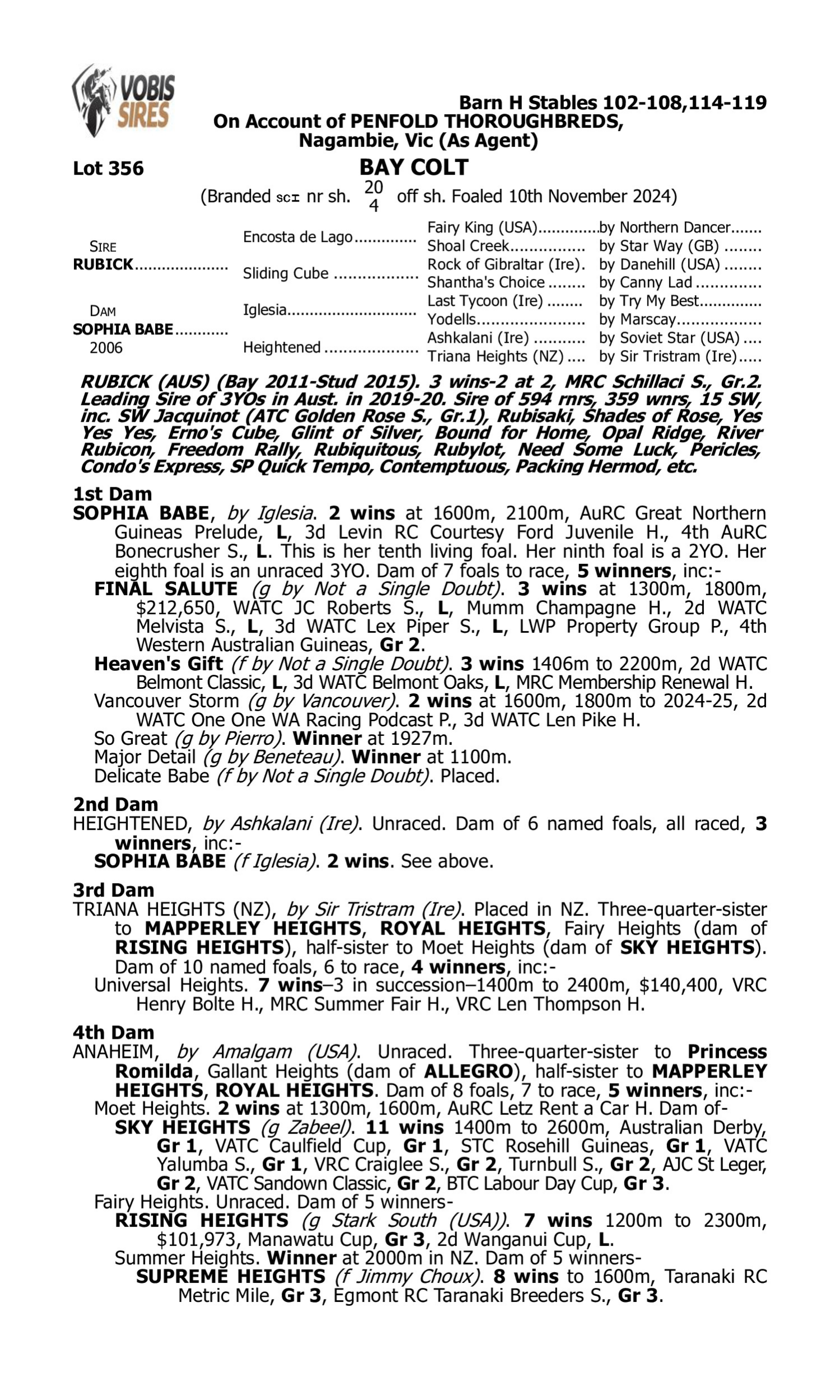 Pedigree for Lot 356 Rubick - Sophia Babe
