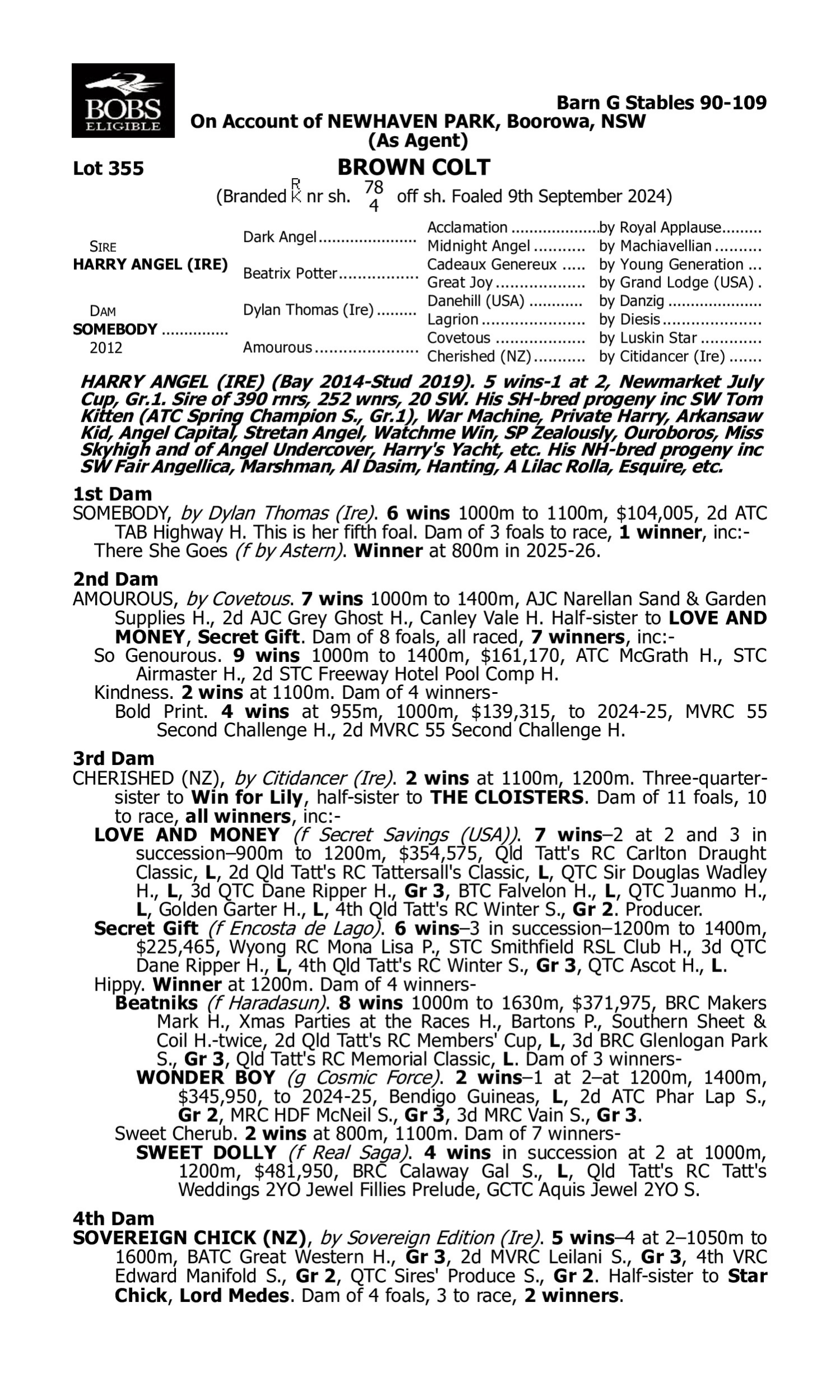 Pedigree for Lot 355 Harry Angel (IRE) - Somebody