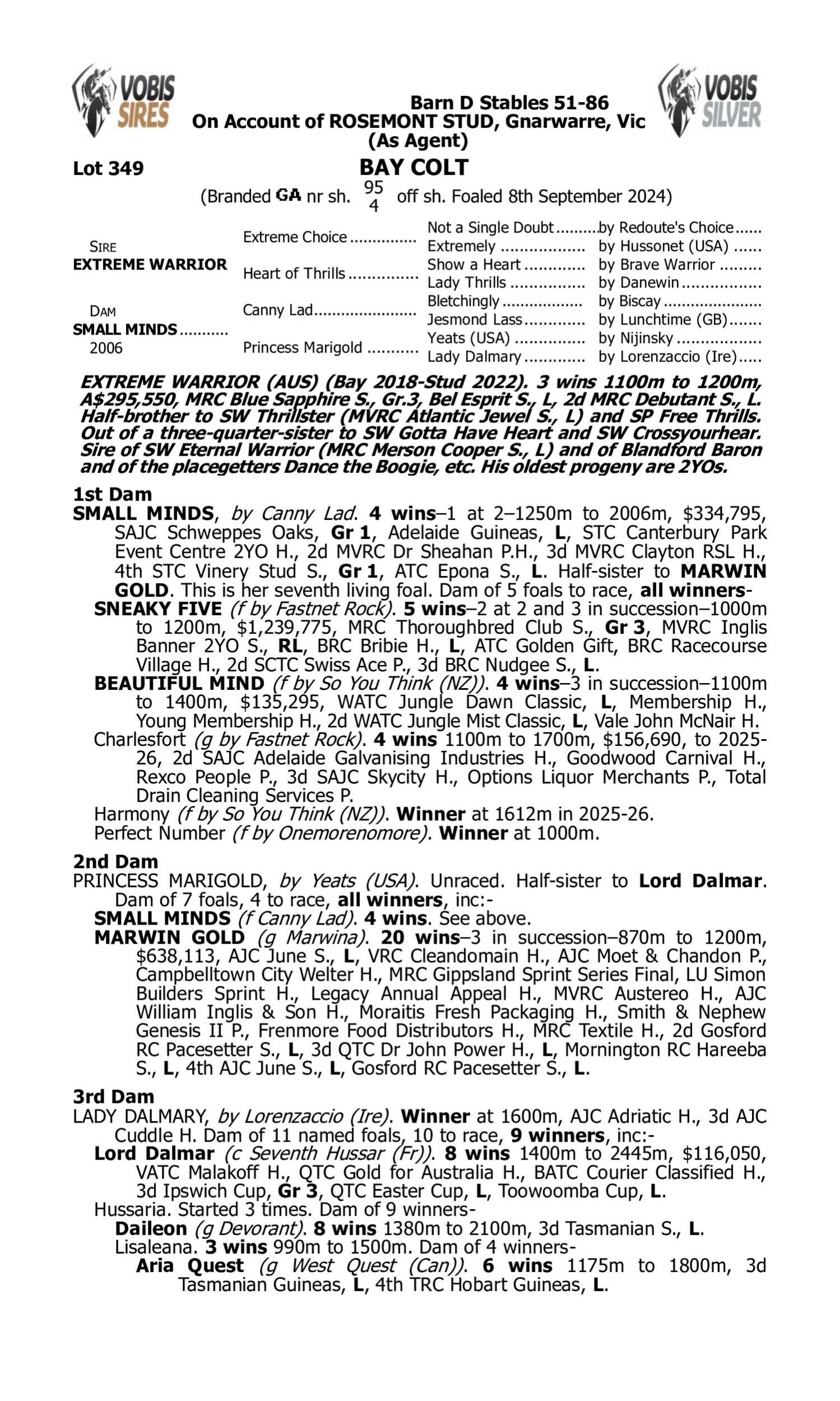 Pedigree for Lot 349 Extreme Warrior - Small Minds