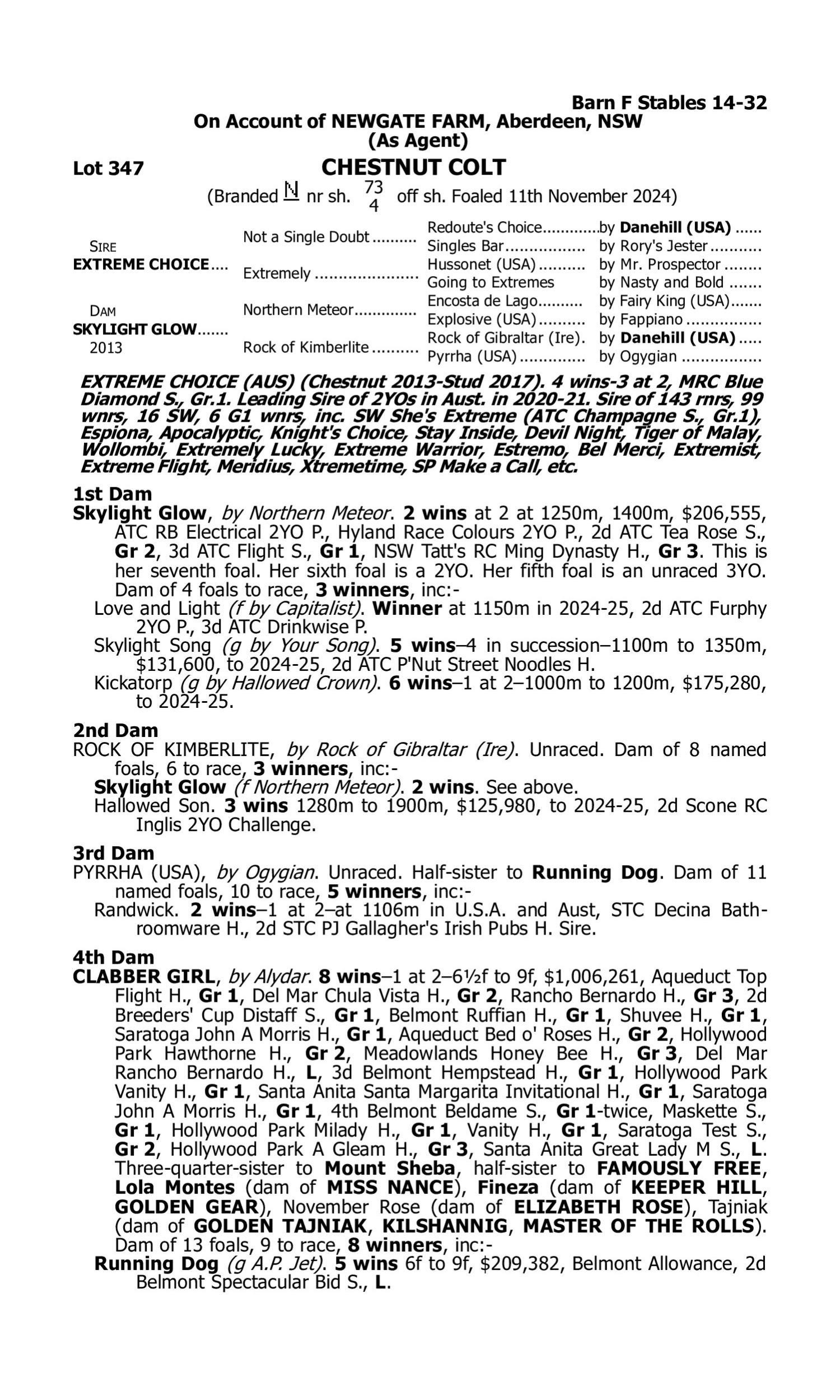 Pedigree for Lot 347 Extreme Choice - Skylight Glow