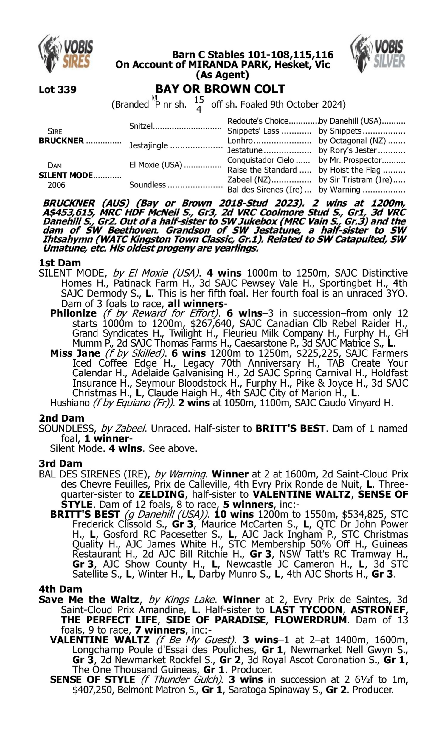 Pedigree for Lot 339 Bruckner - Silent Mode