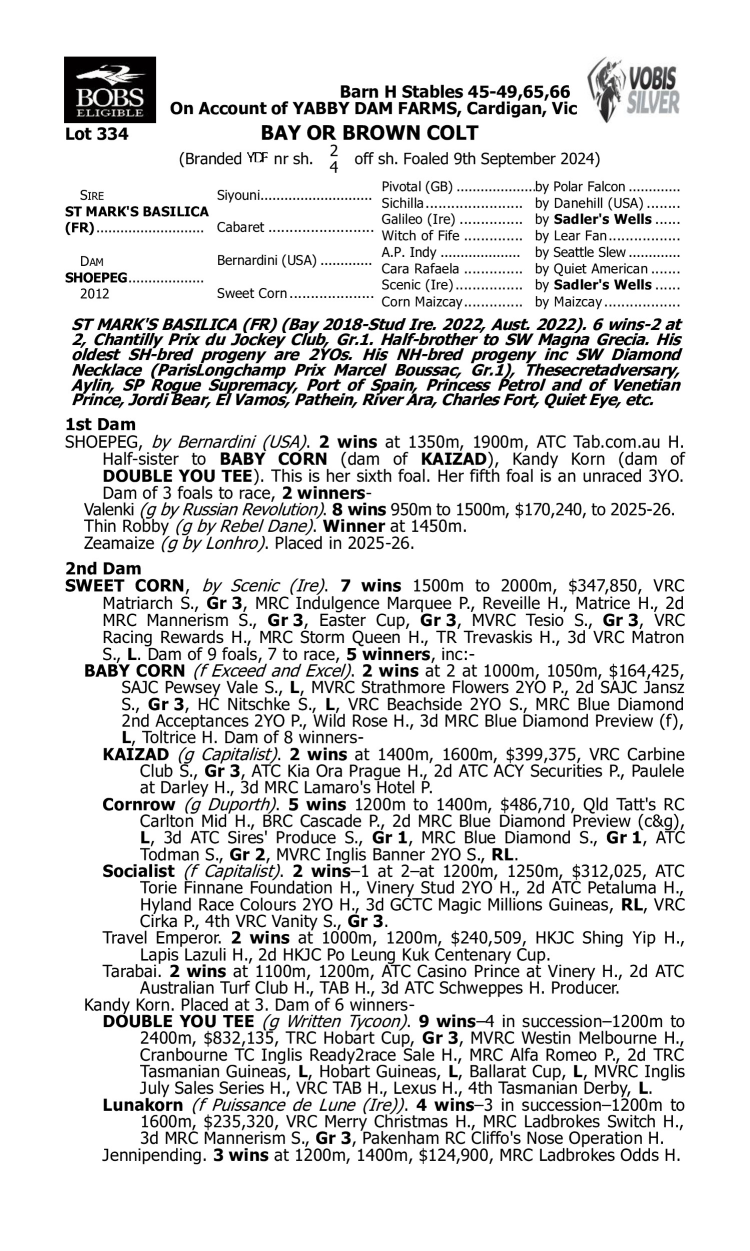 Pedigree for Lot 334 St Mark's Basilica (FR) - Shoepeg