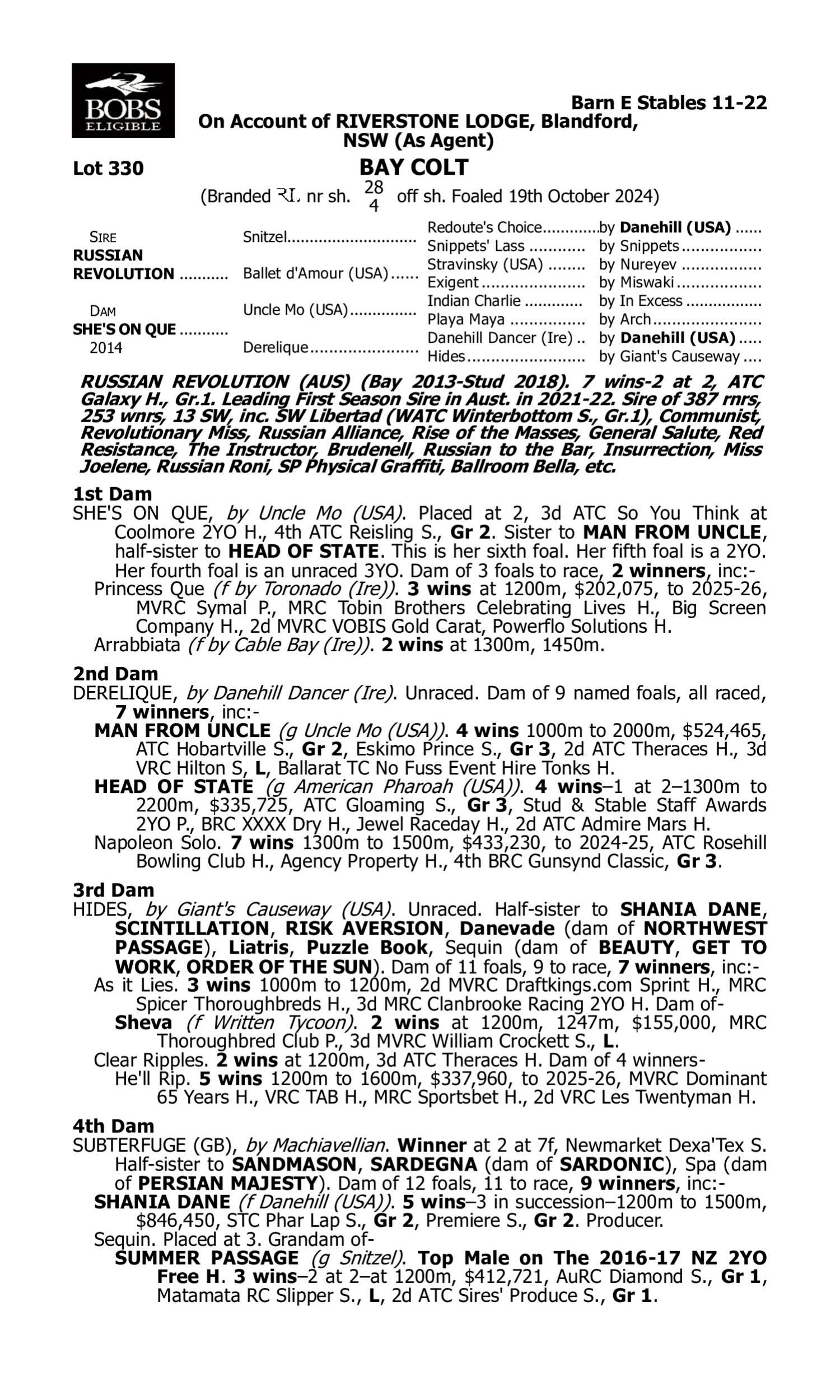 Pedigree for Lot 330 Russian Revolution - She's on Que