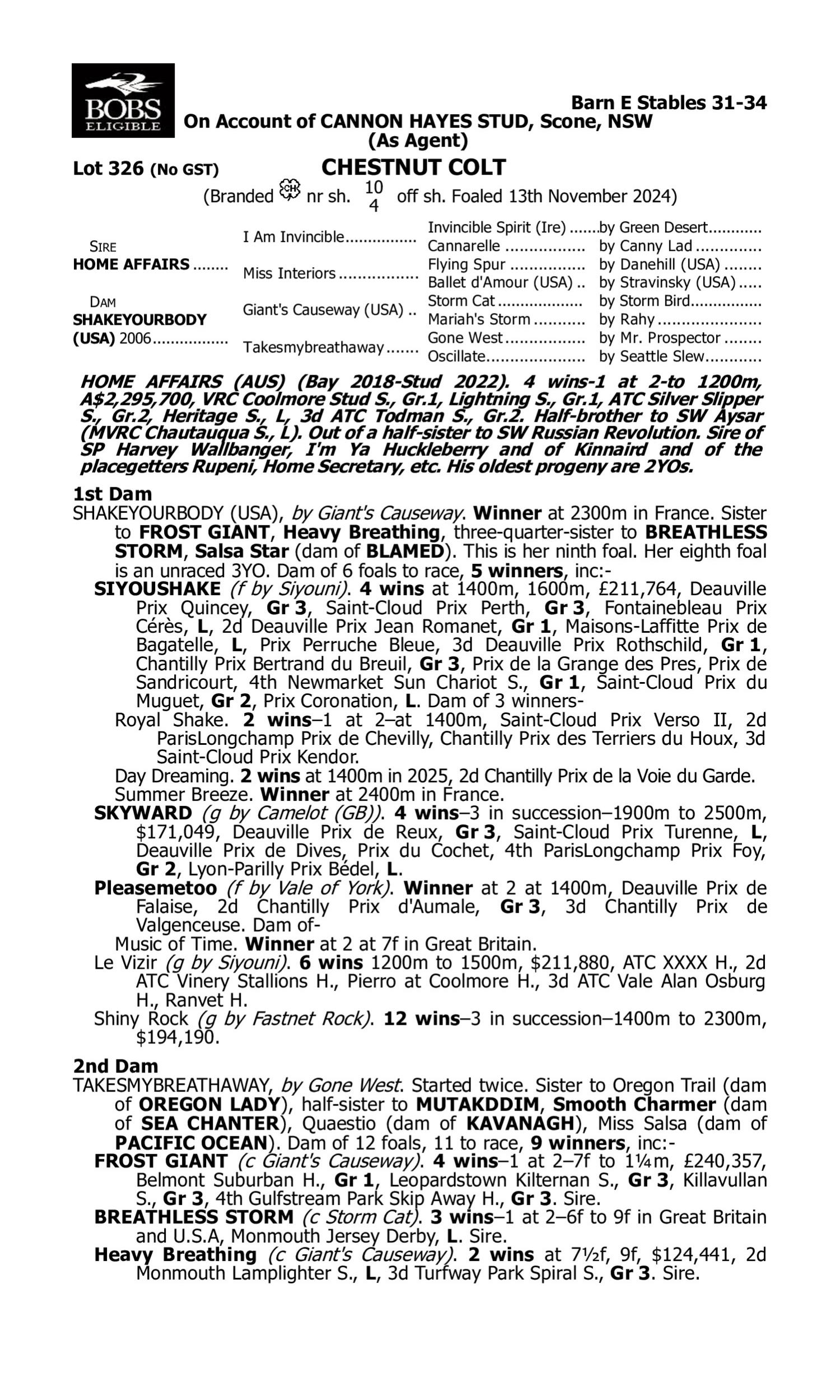 Pedigree for Lot 326 Home Affairs - Shakeyourbody (USA)