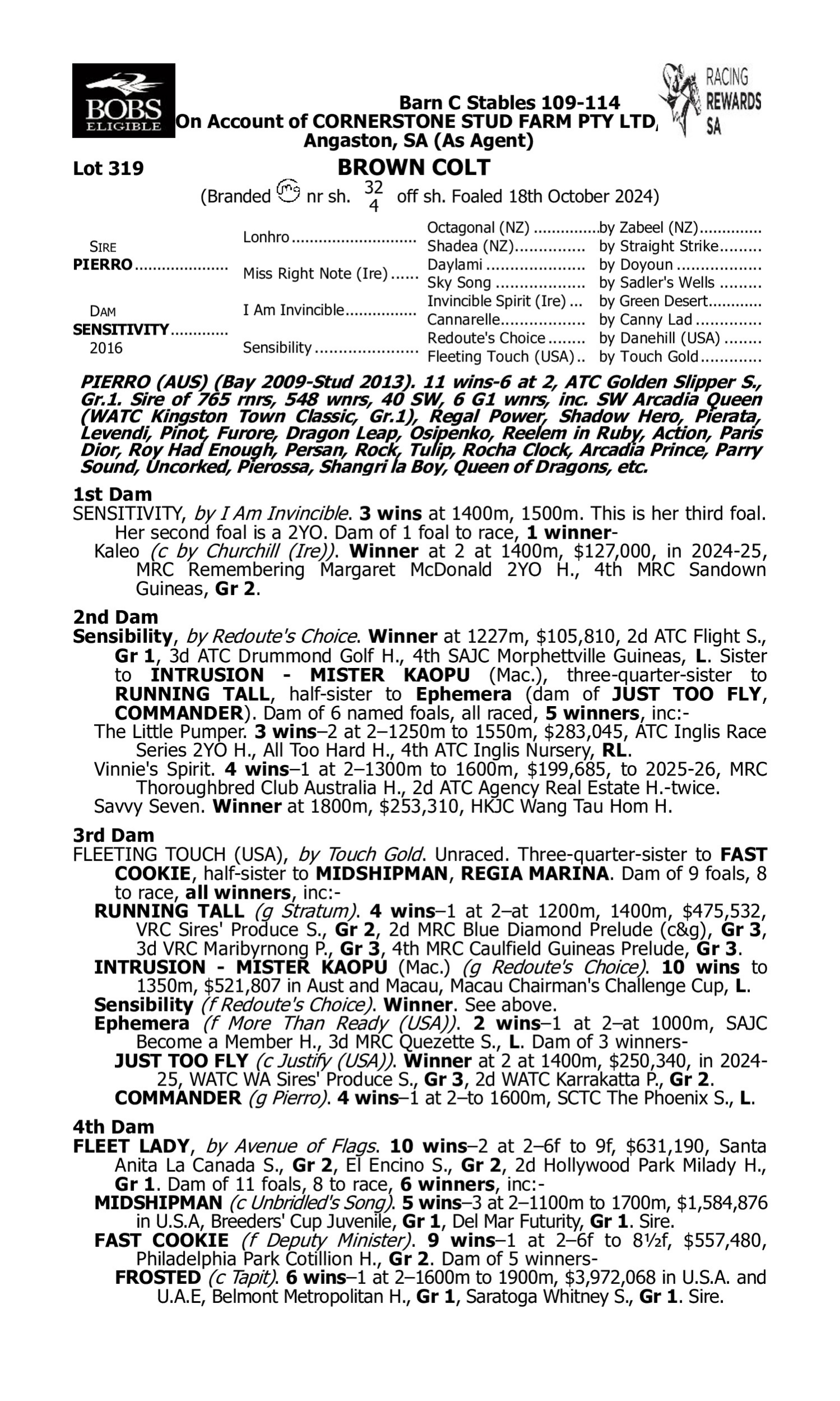 Pedigree for Lot 319 Pierro - Sensitivity