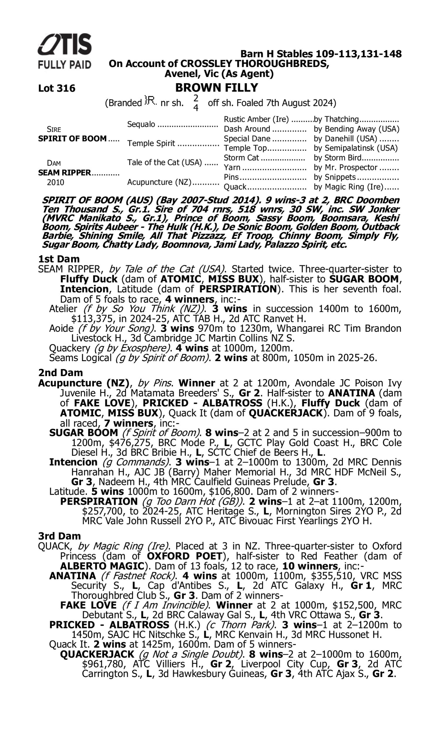 Pedigree for Lot 316 Spirit of Boom - Seam Ripper