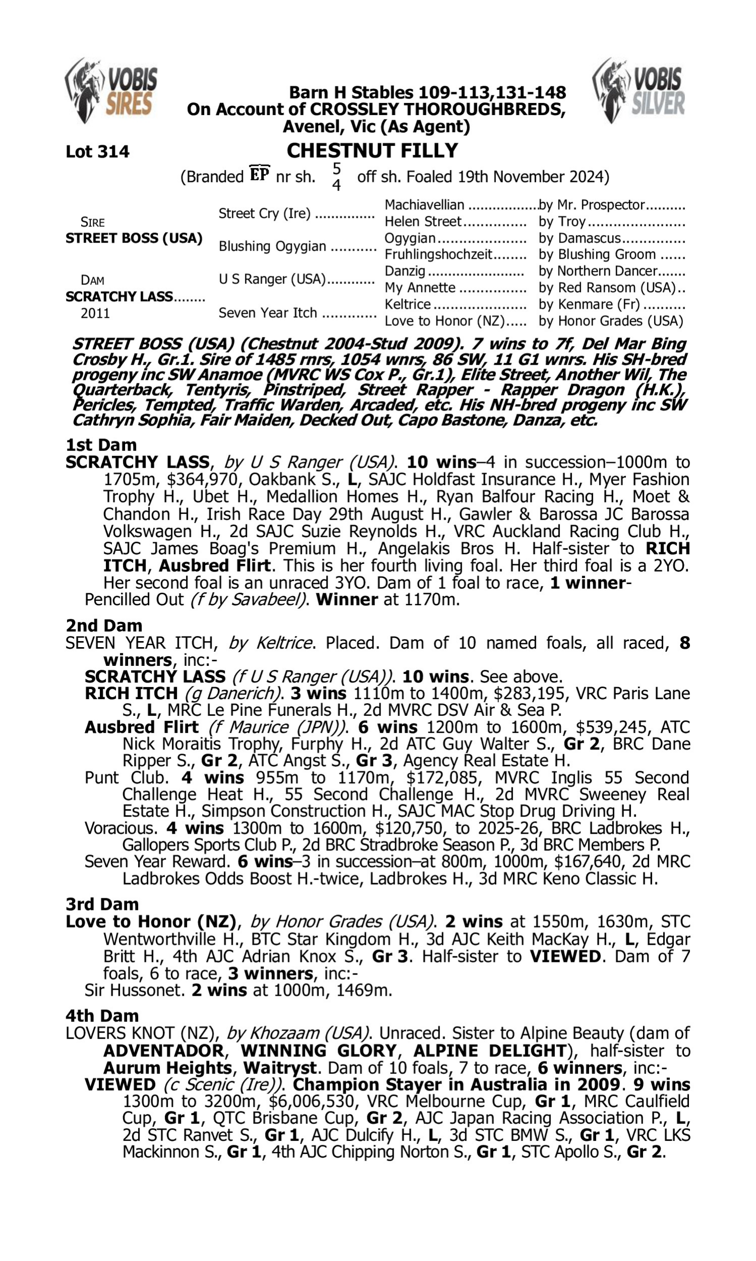 Pedigree for Lot 314 Street Boss (USA) - Scratchy Lass