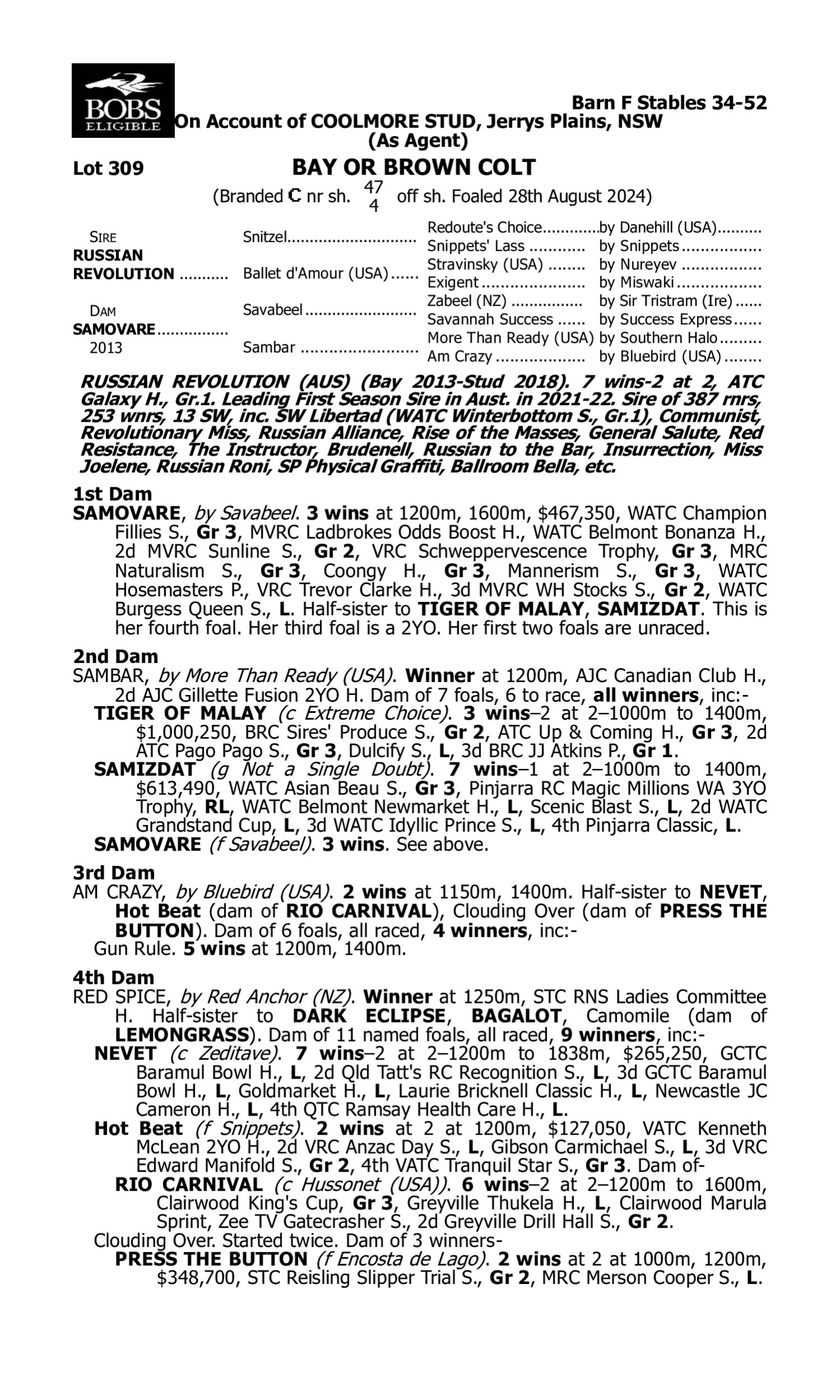 Pedigree for Lot 309 Russian Revolution - Samovare