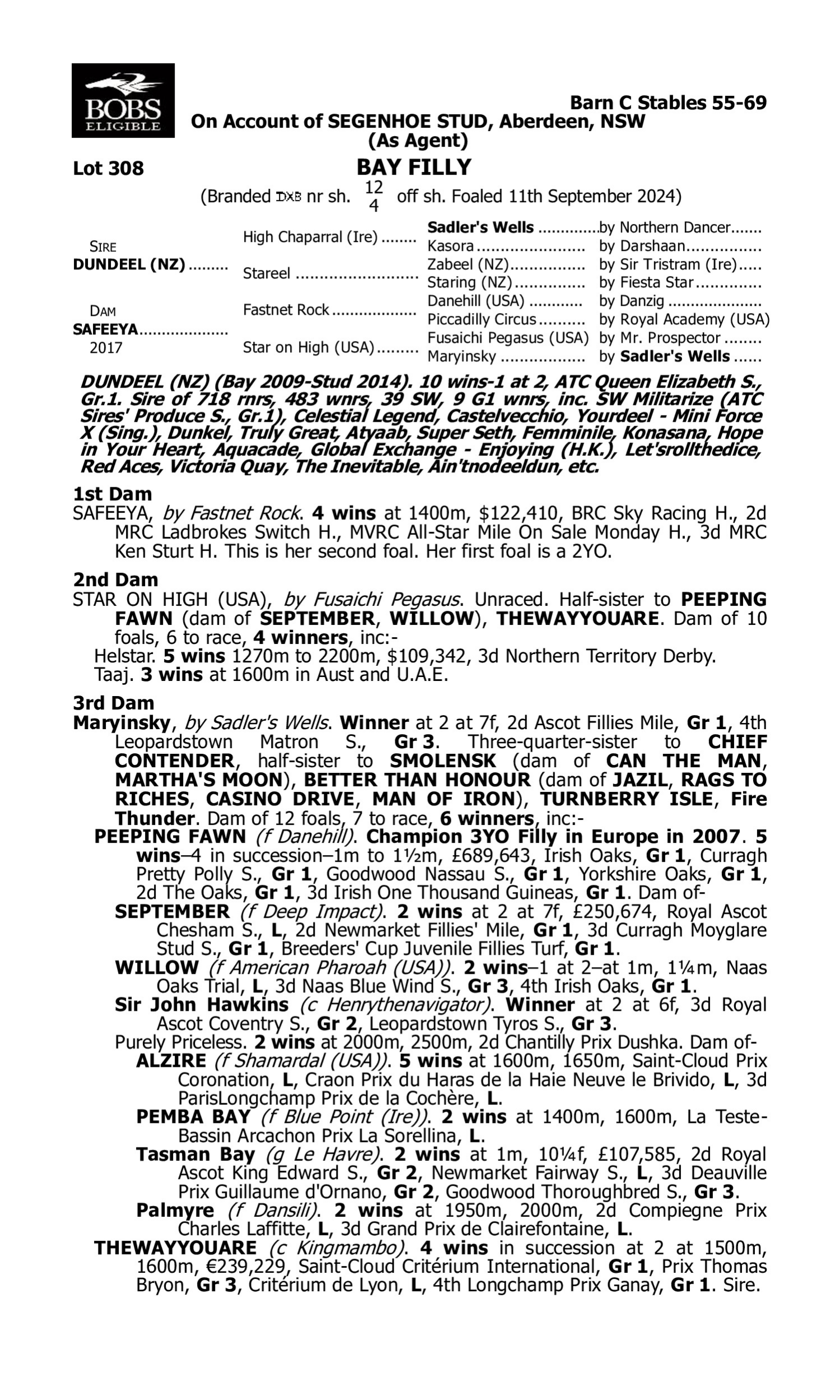 Pedigree for Lot 308 Dundeel (NZ) - Safeeya