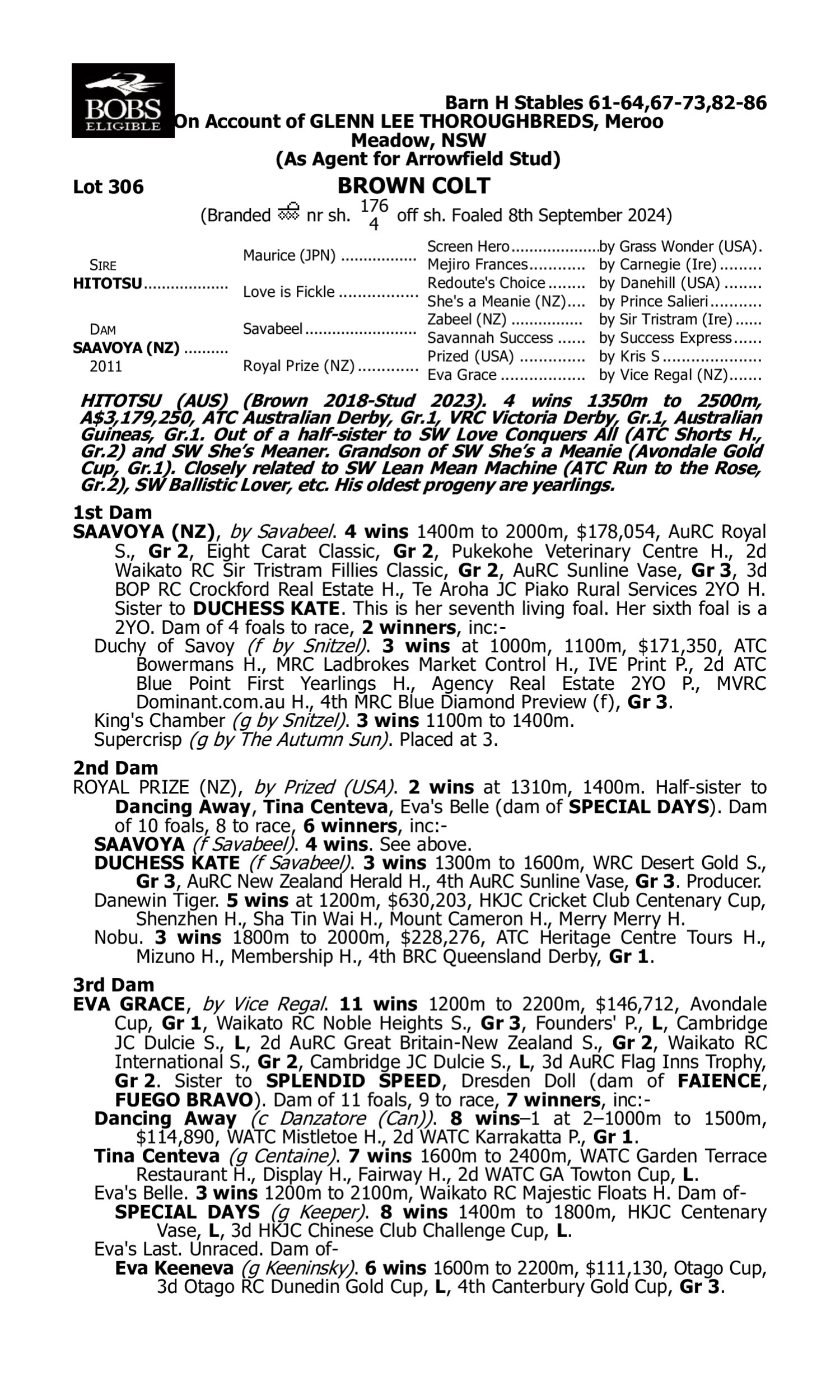 Pedigree for Lot 306 Hitotsu - Saavoya (NZ)