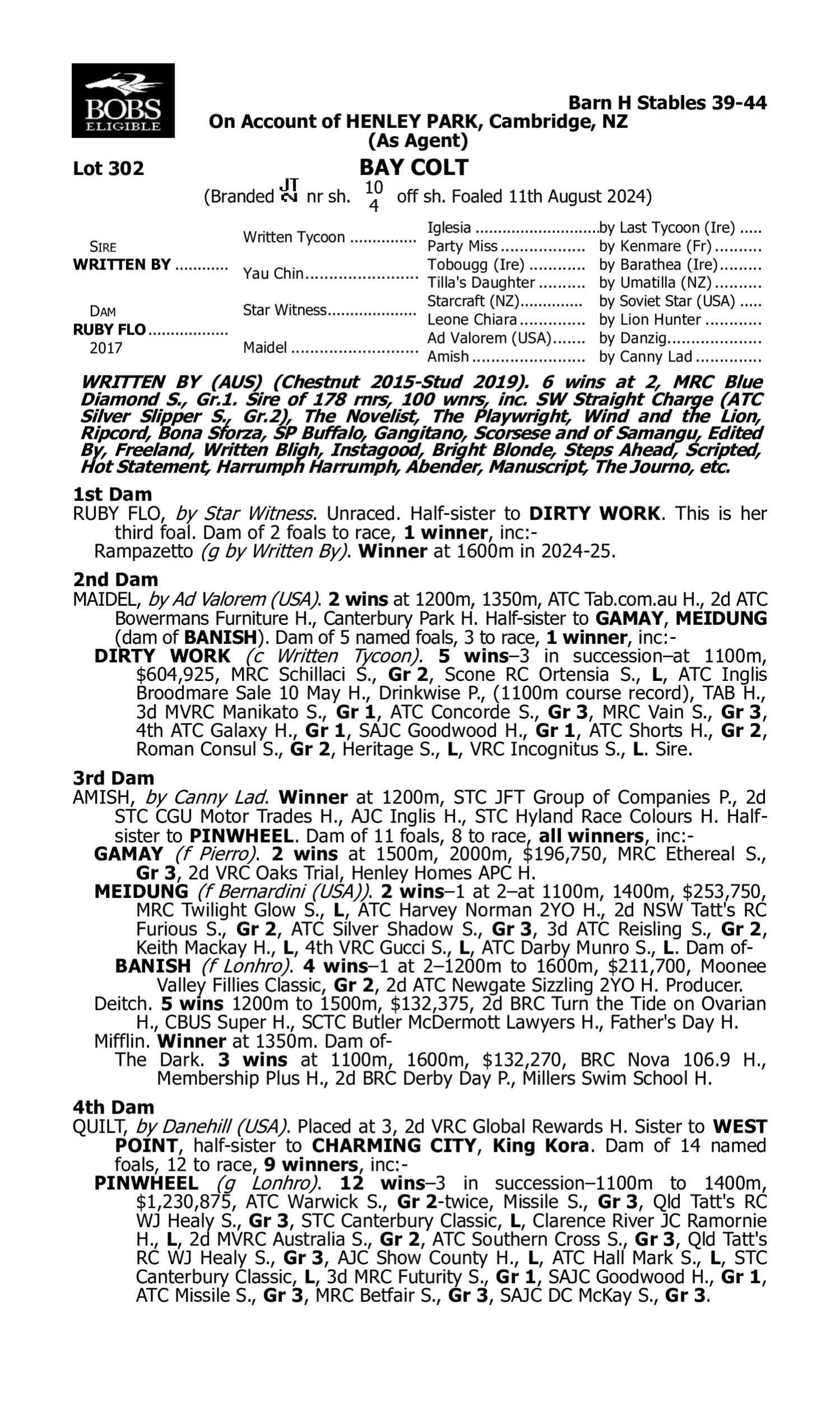 Pedigree for Lot 302 Written By - Ruby Flo