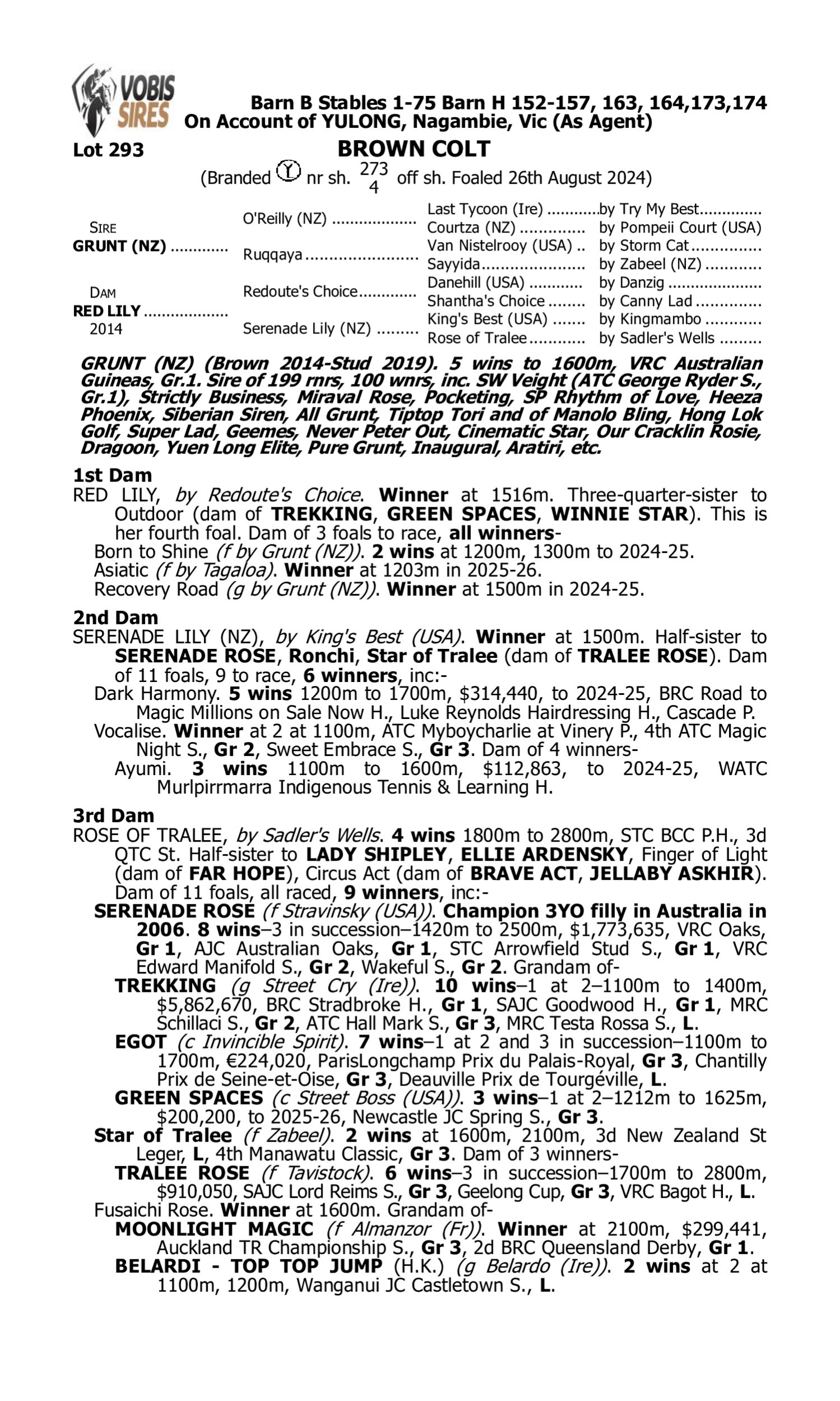 Pedigree for Lot 293 Grunt (NZ) - Red Lily