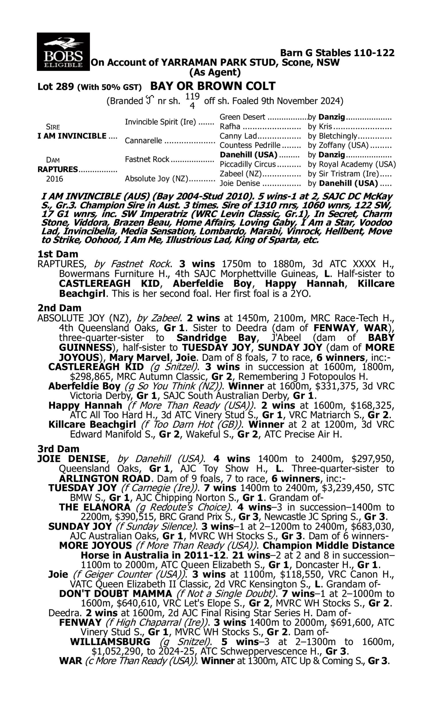 Pedigree for Lot 289 I Am Invincible - Raptures