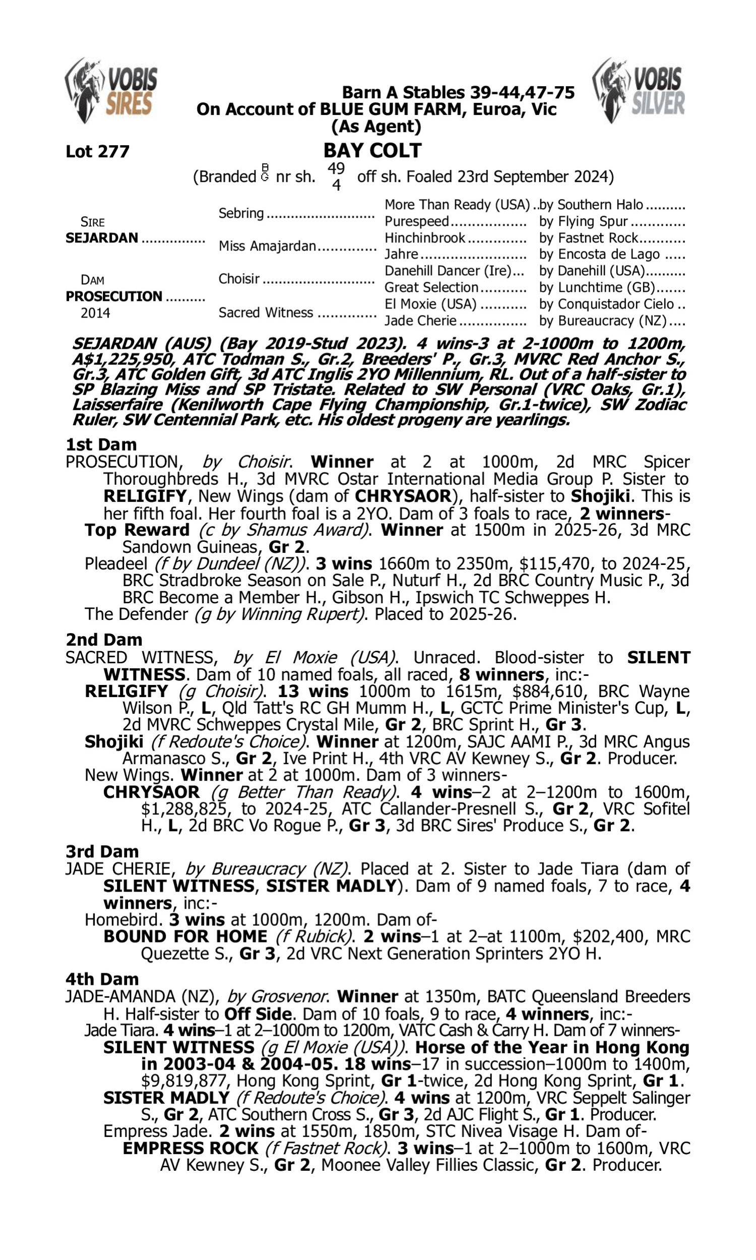 Pedigree for Lot 277 Sejardan - Prosecution