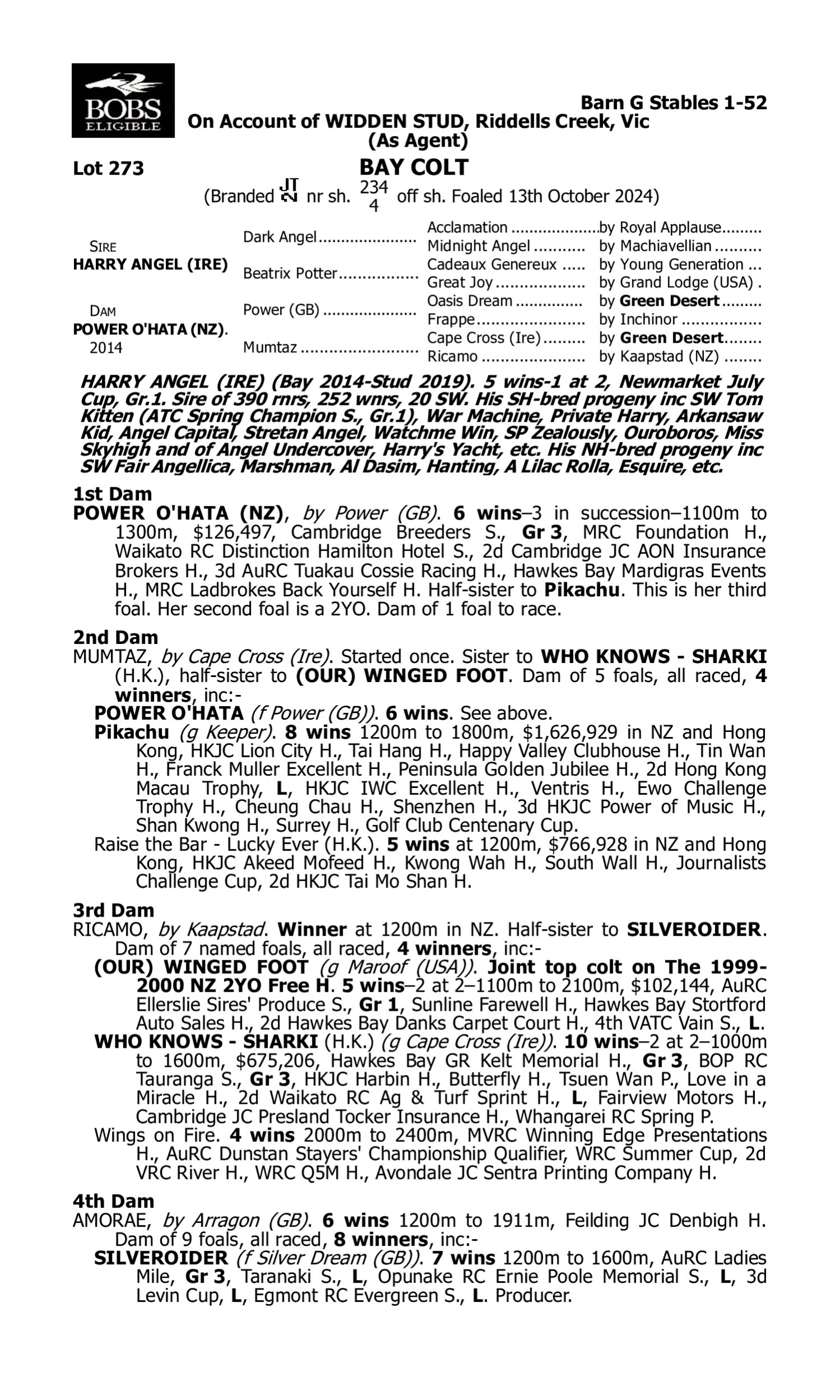 Pedigree for Lot 273 Harry Angel (IRE) - Power O'Hata (NZ)