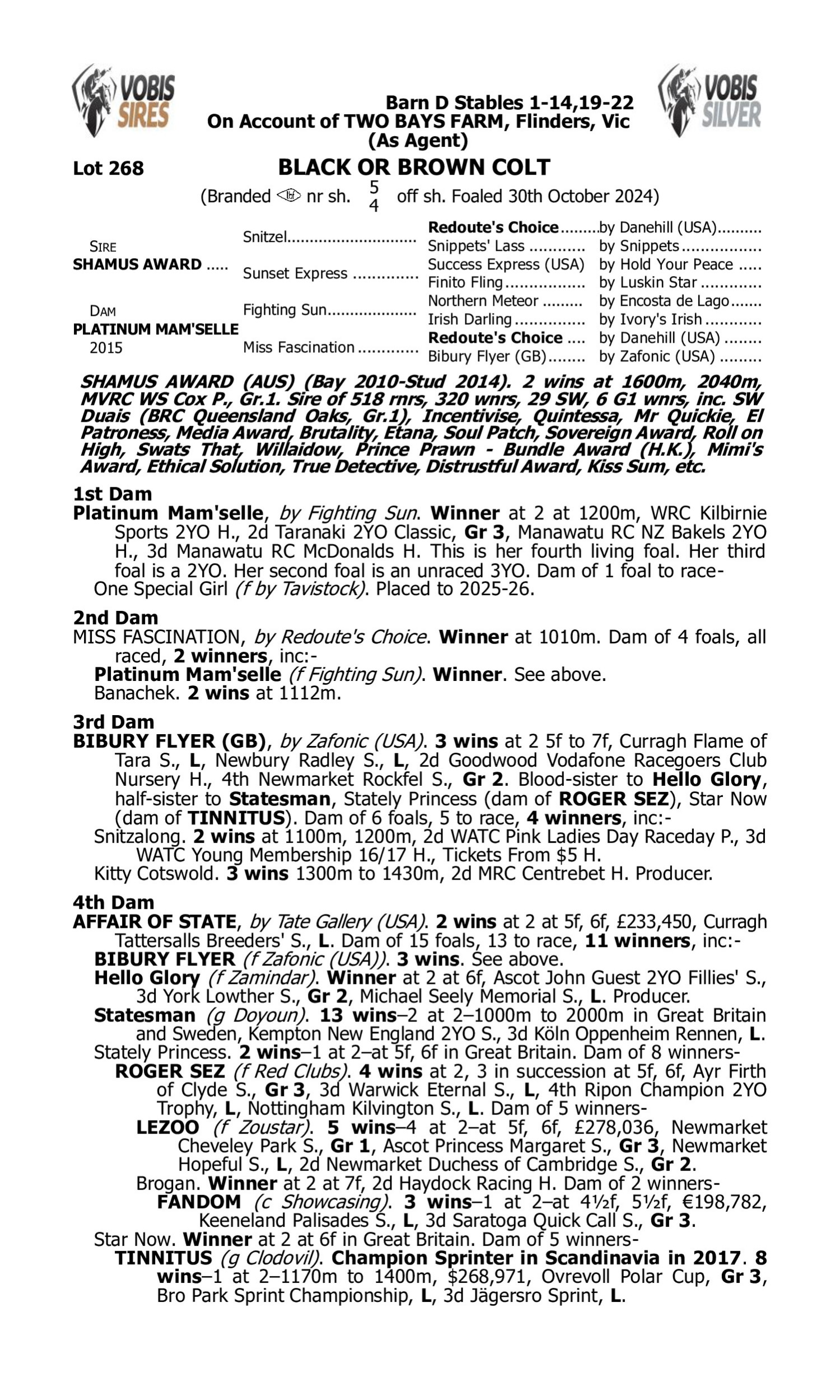 Pedigree for Lot 268 Shamus Award - Platinum Mam'selle