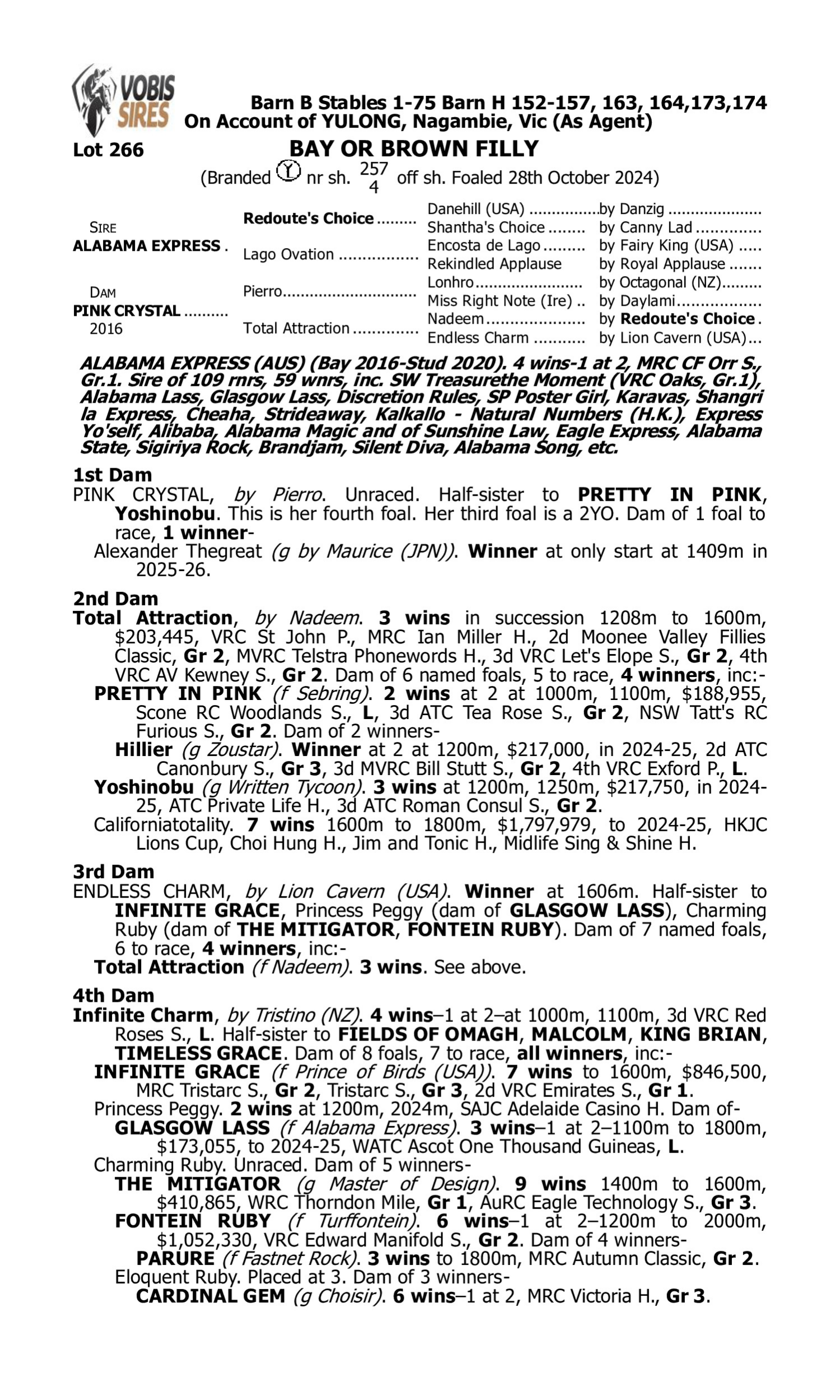 Pedigree for Lot 266 Alabama Express - Pink Crystal