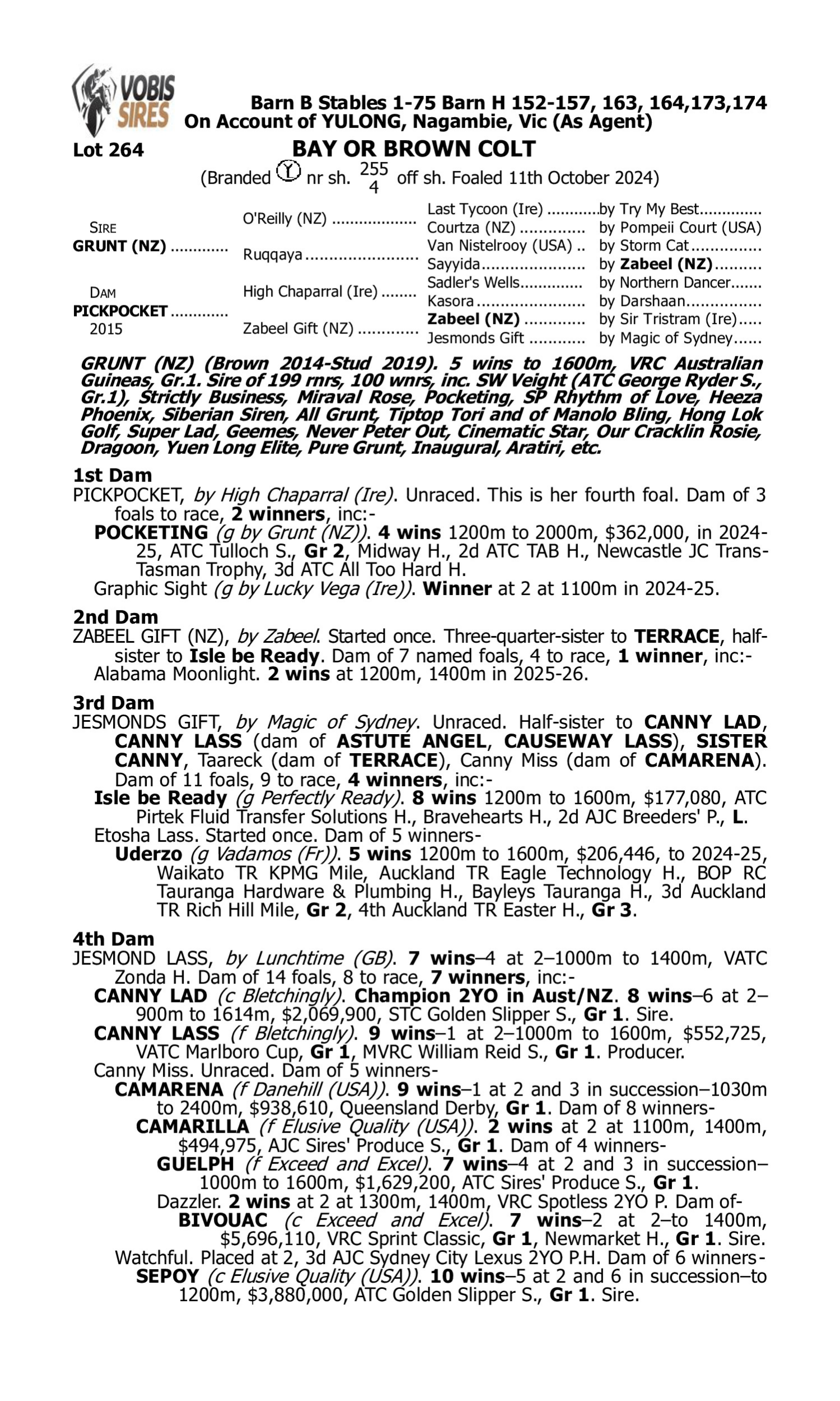 Pedigree for Lot 264 Grunt (NZ) - Pickpocket