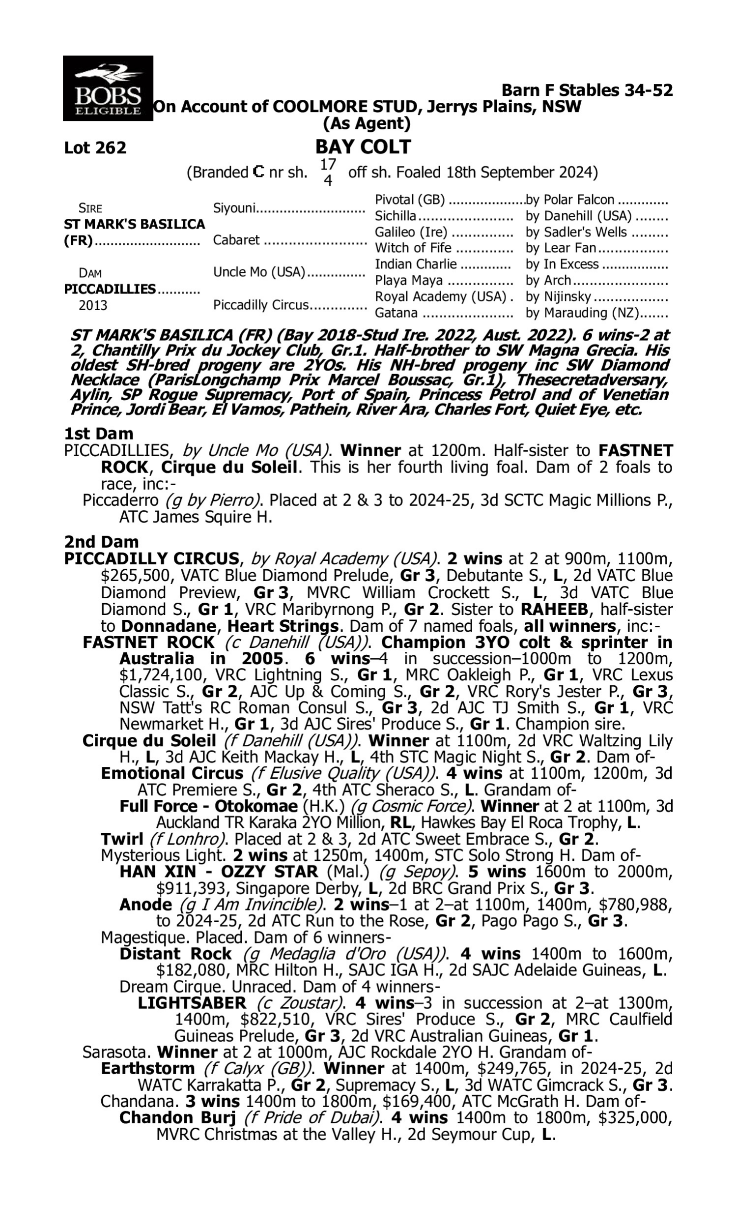 Pedigree for Lot 262 St Mark's Basilica (FR) - Piccadillies